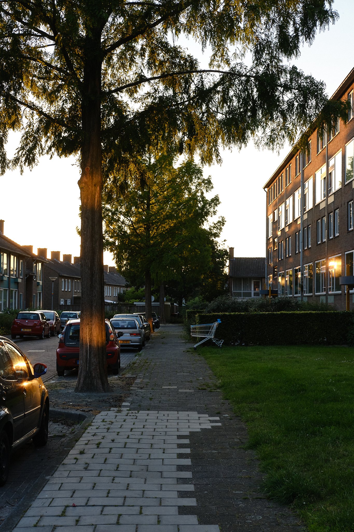 Twekkie-TessaWiegerinck-_DSF8262-web.jpg