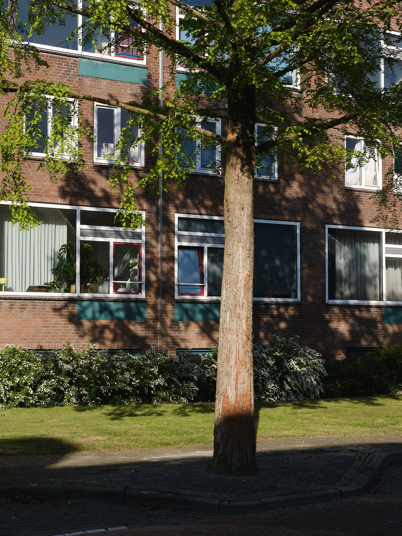 Twekkie-TessaWiegerinck-_DSF2059-web.jpg