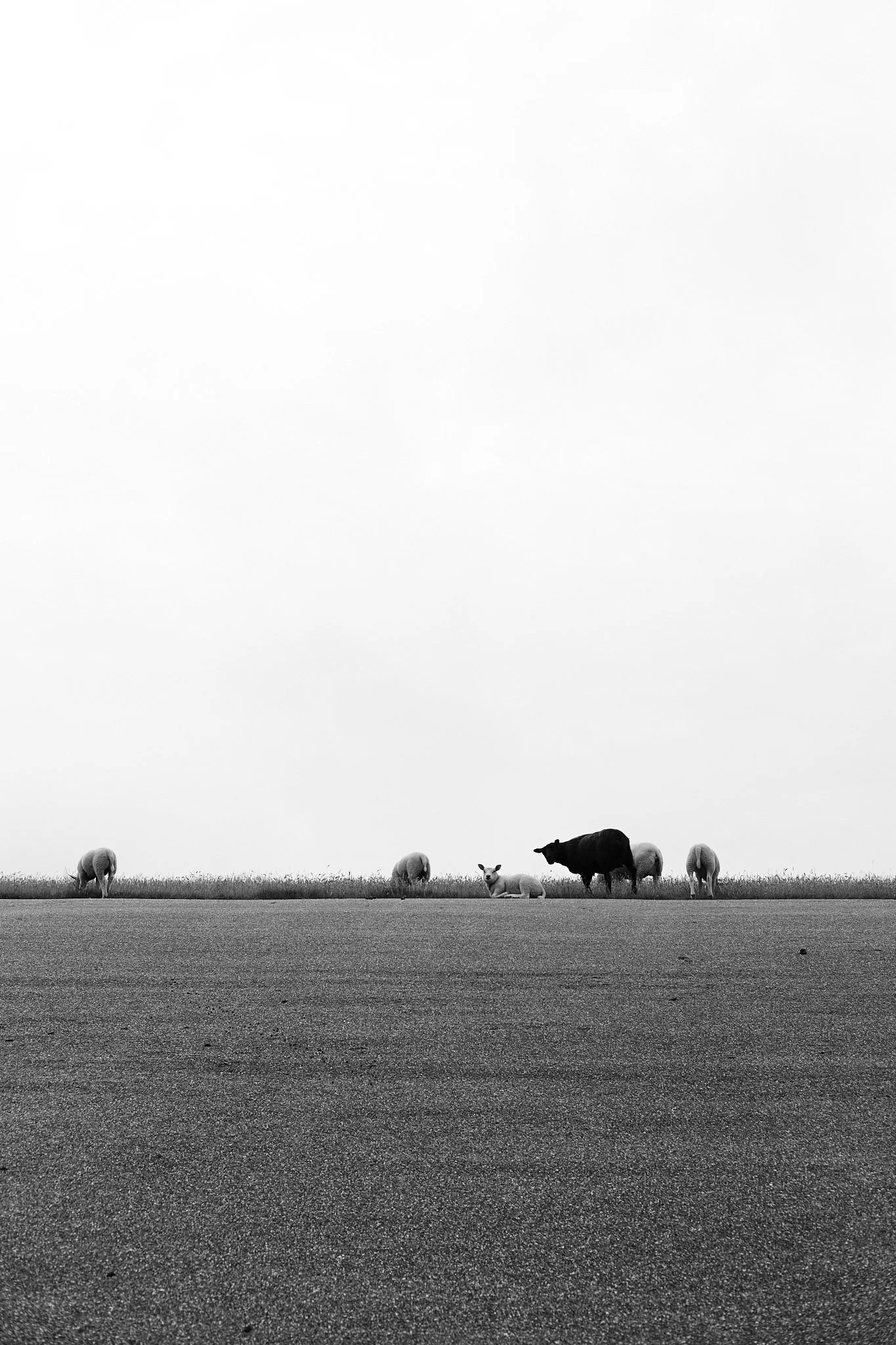 HouselessNotHomeless-TessaWiegerinck-DSCF0933-web.jpg