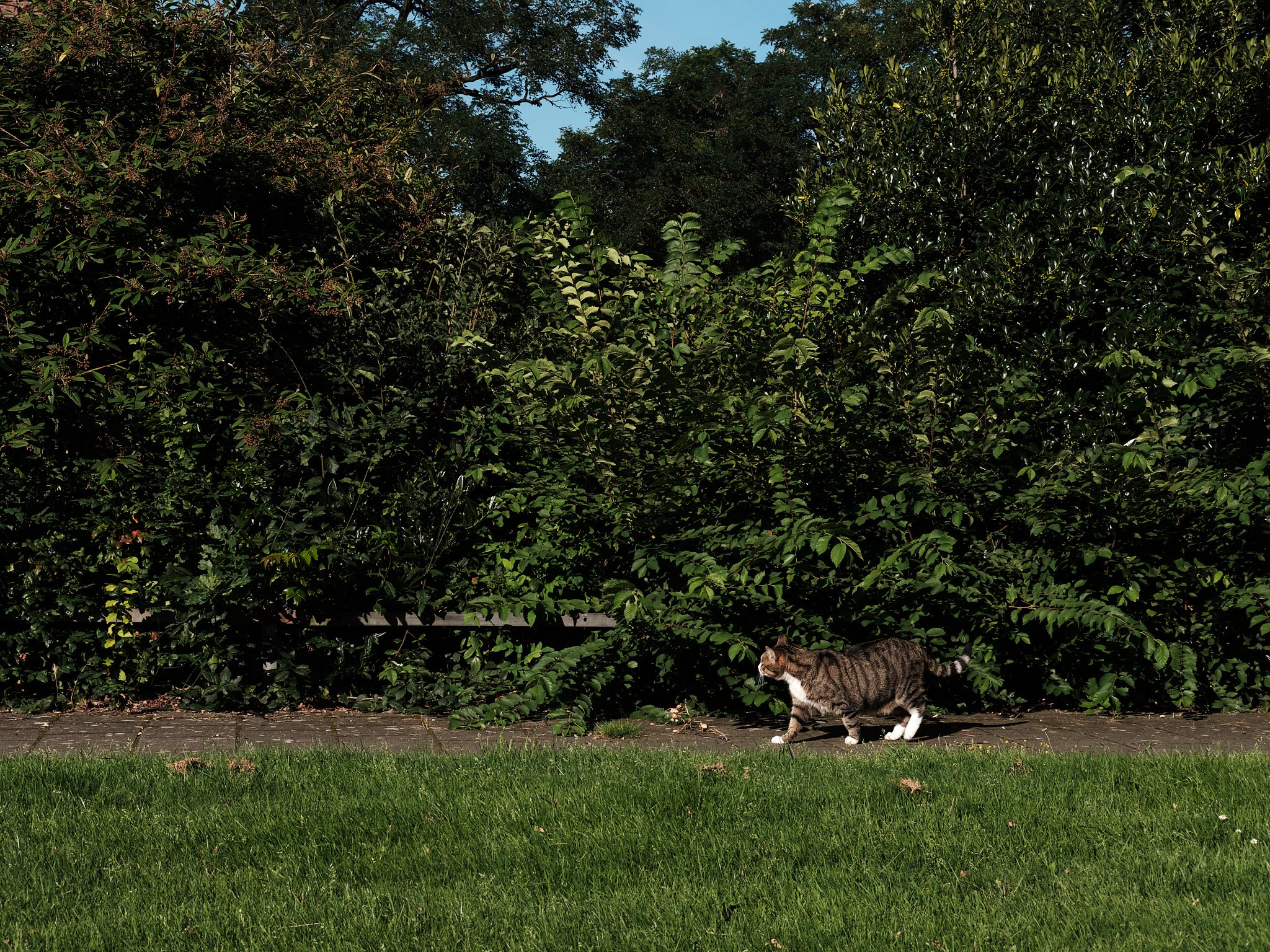Twekkie-TessaWiegerinck-_DSF8472-web 1.jpg