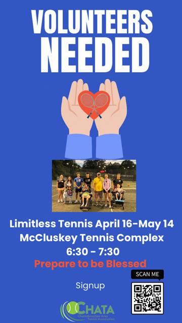 Blue Volunteers Needed Instagram Story.PNG