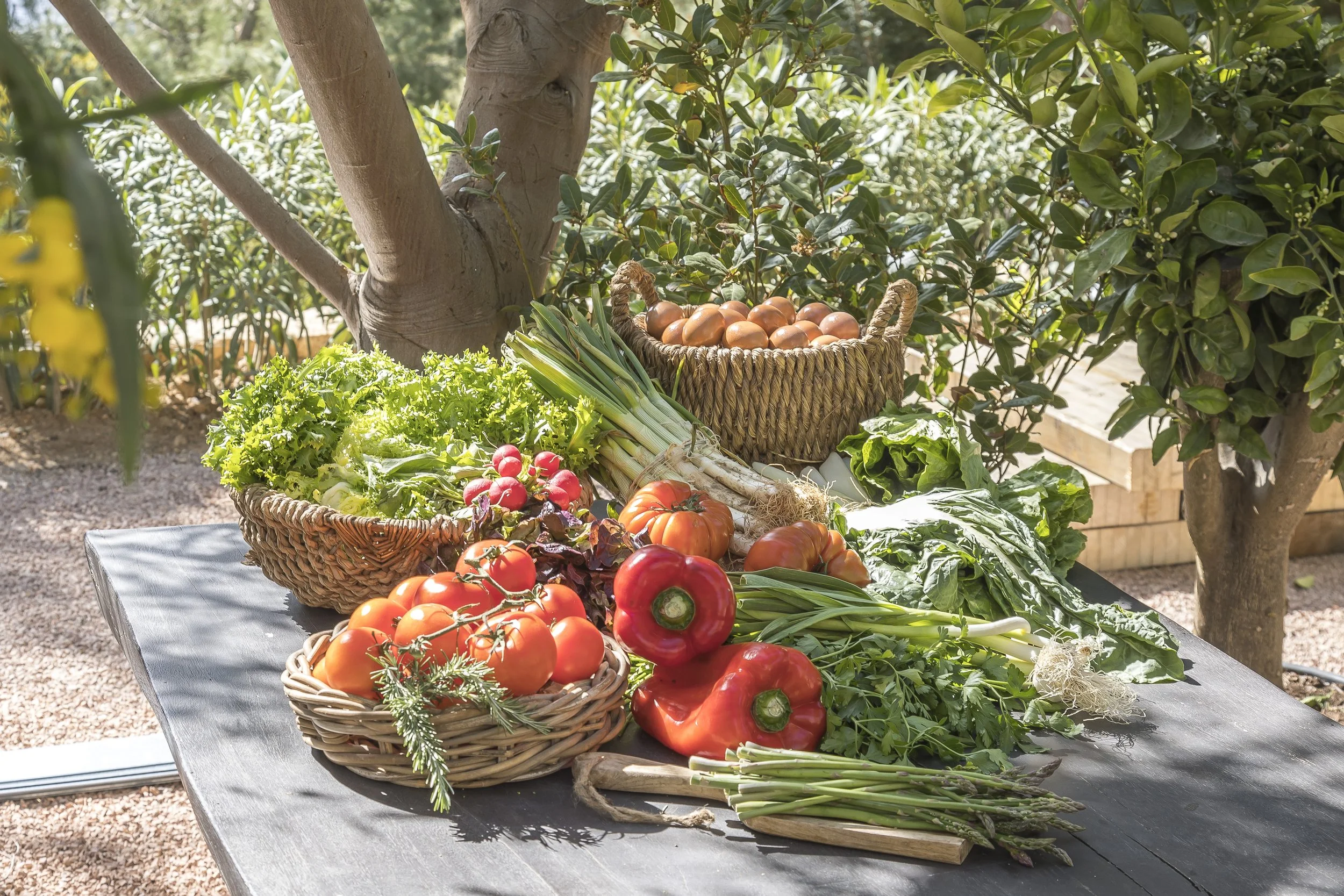 89 Products from our Farm.jpg