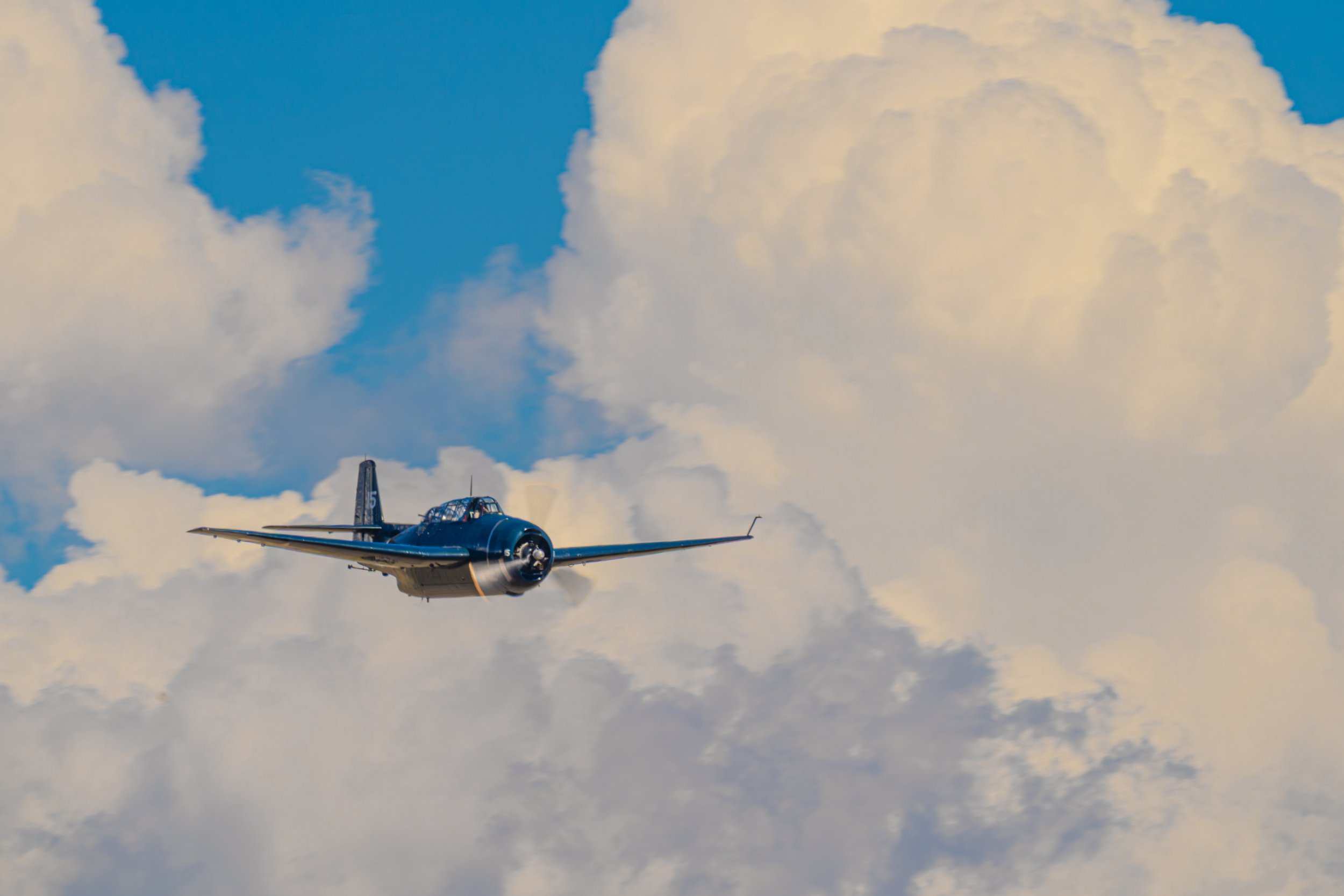 _DSC8551.jpg