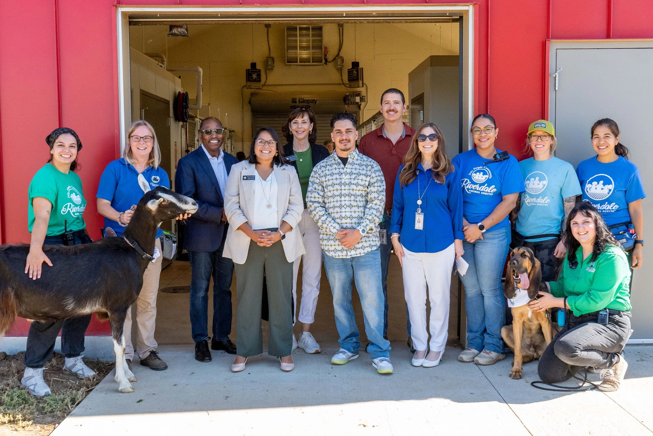 Riverdale Animal Shelter Animal Barn.jpg