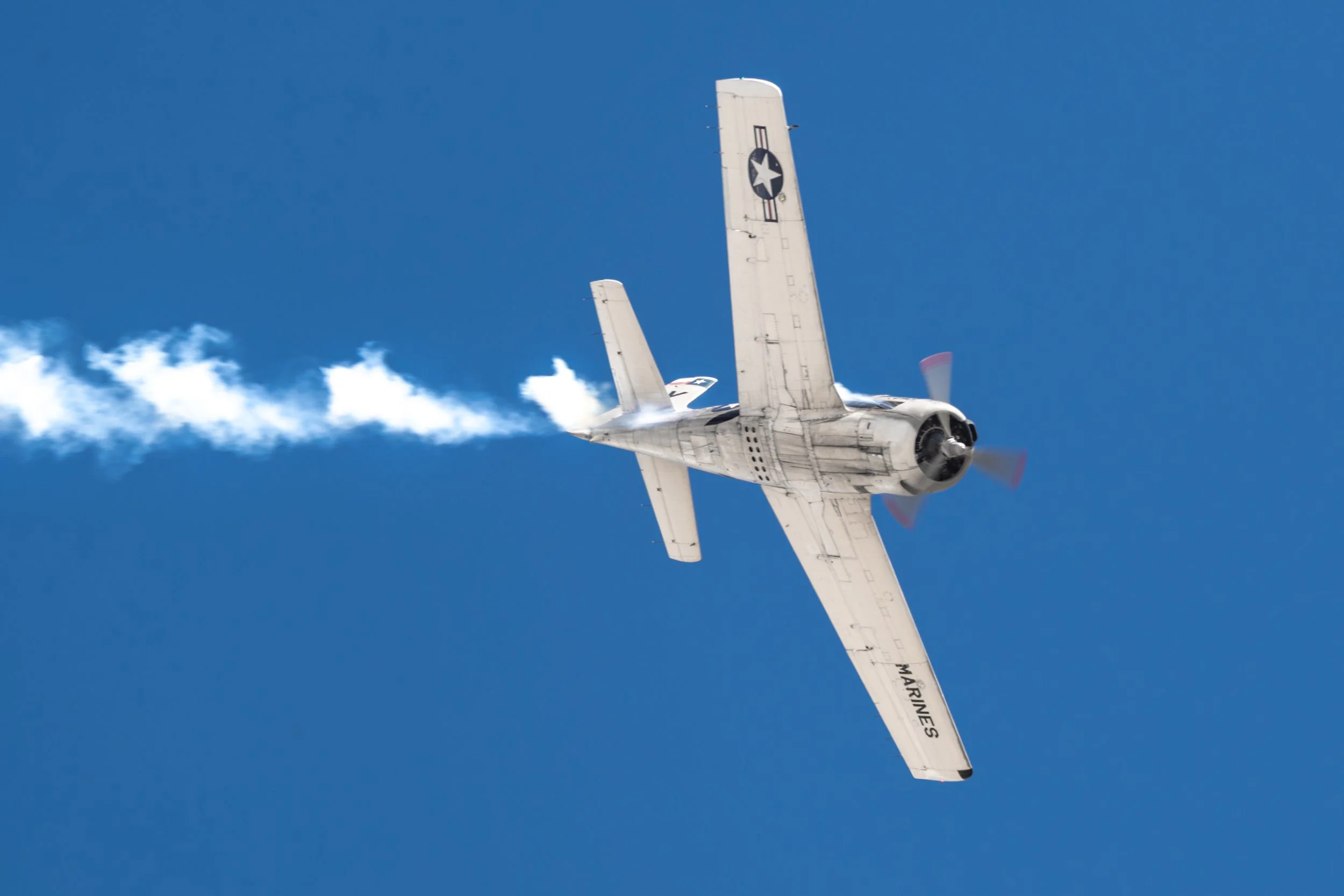 _DSC9167.jpg