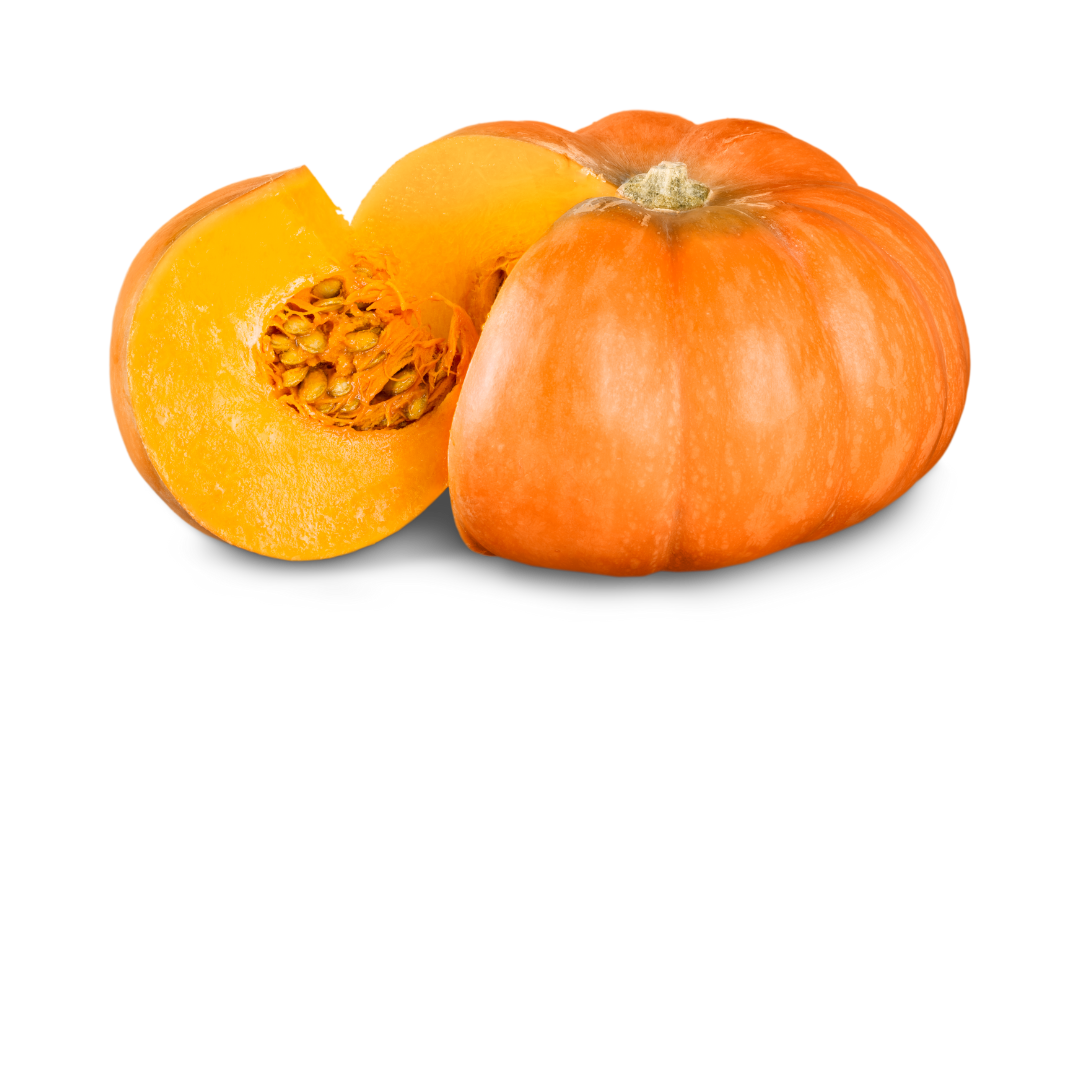 Pumpkin