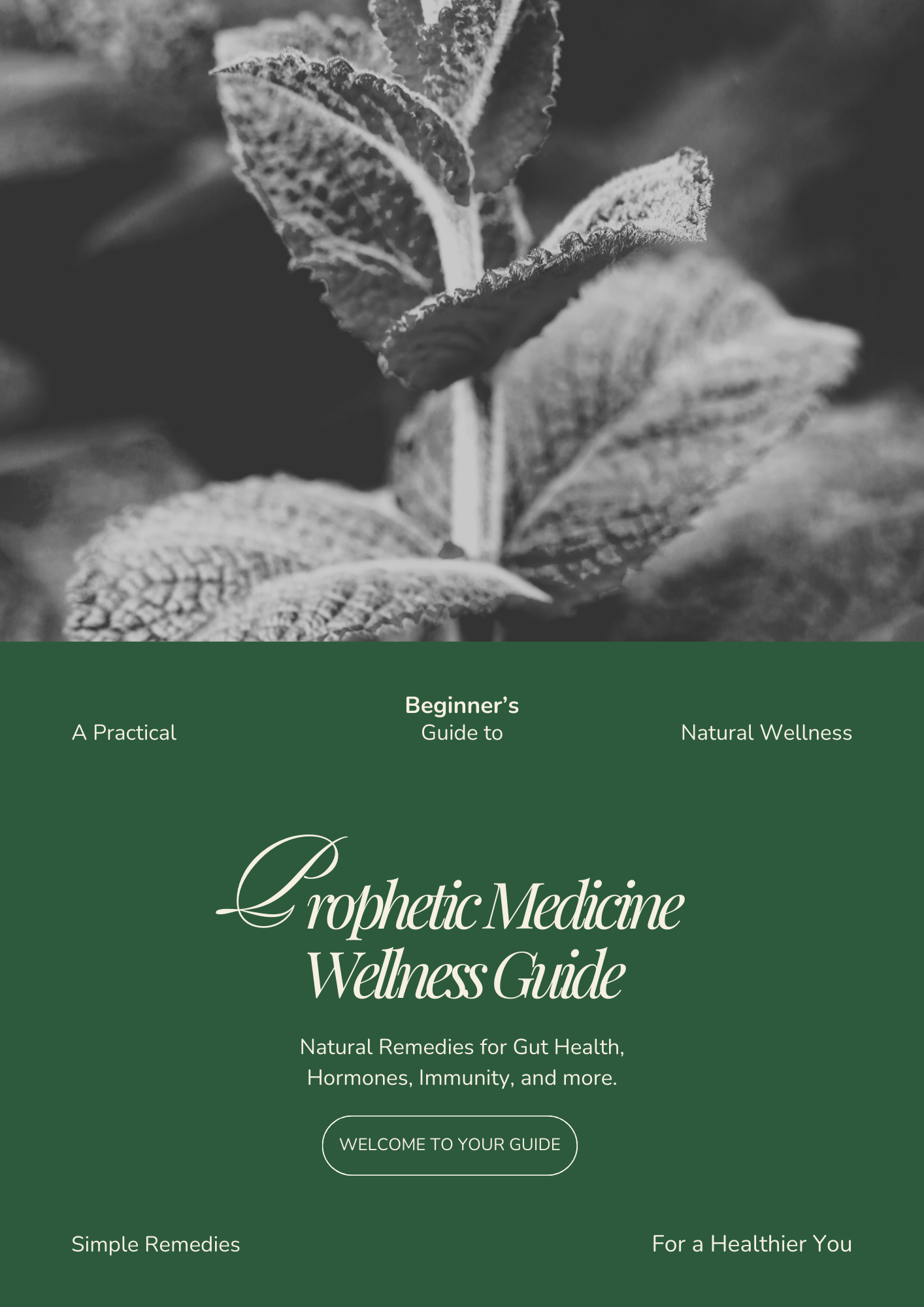 Cover Page Prophetic Wellness Guide.png