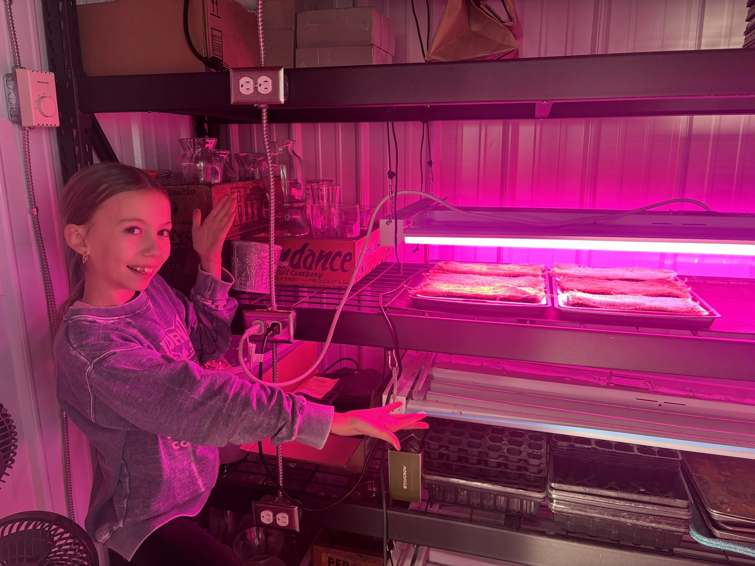 Setting up a Seed Starting Station