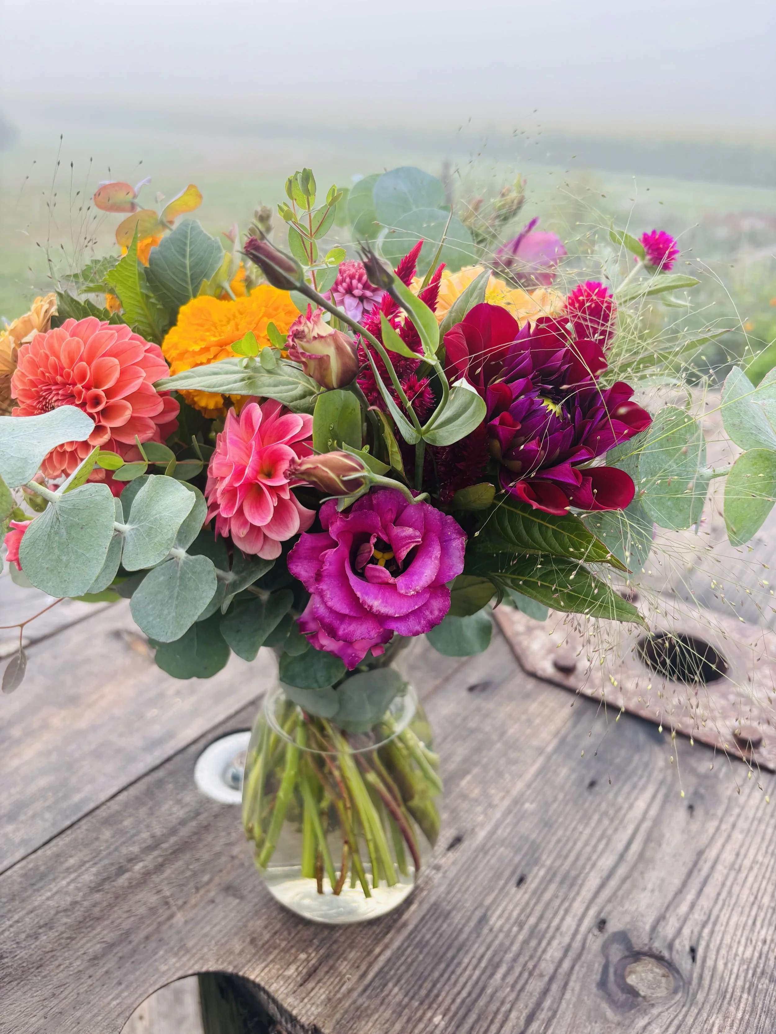 Building a Cut Flower Garden? Start with the Stars (Part 1)