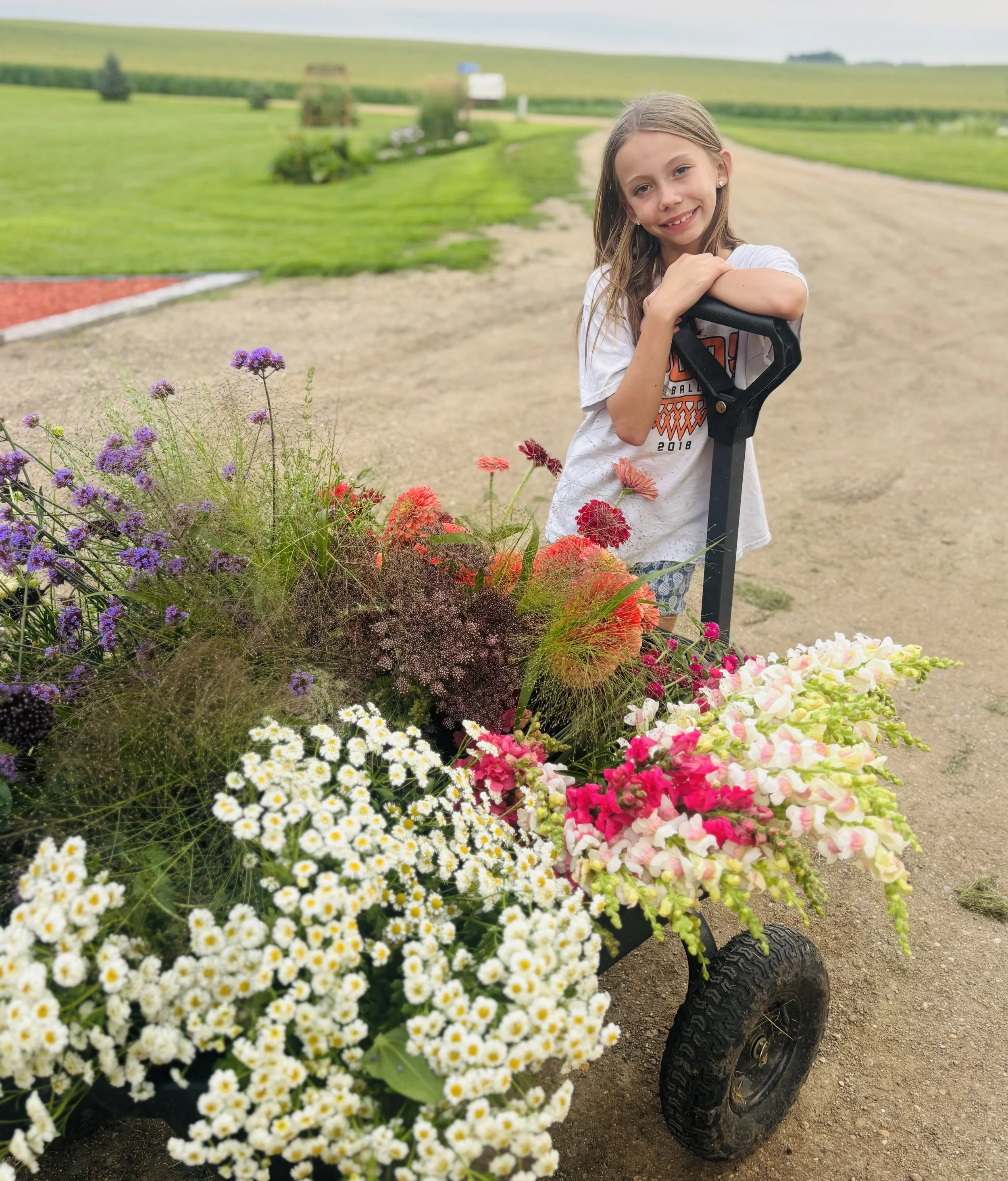 Filler Flowers: The Secret Bouquet Ingredient (Part 2)