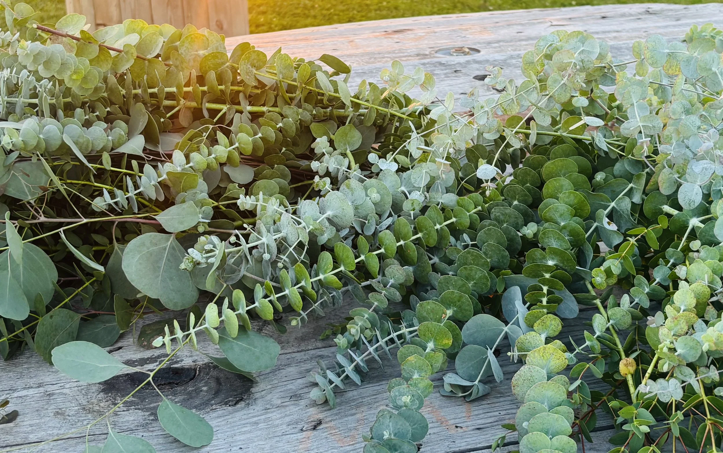 Greenery: The Finishing Touch (Part 3)