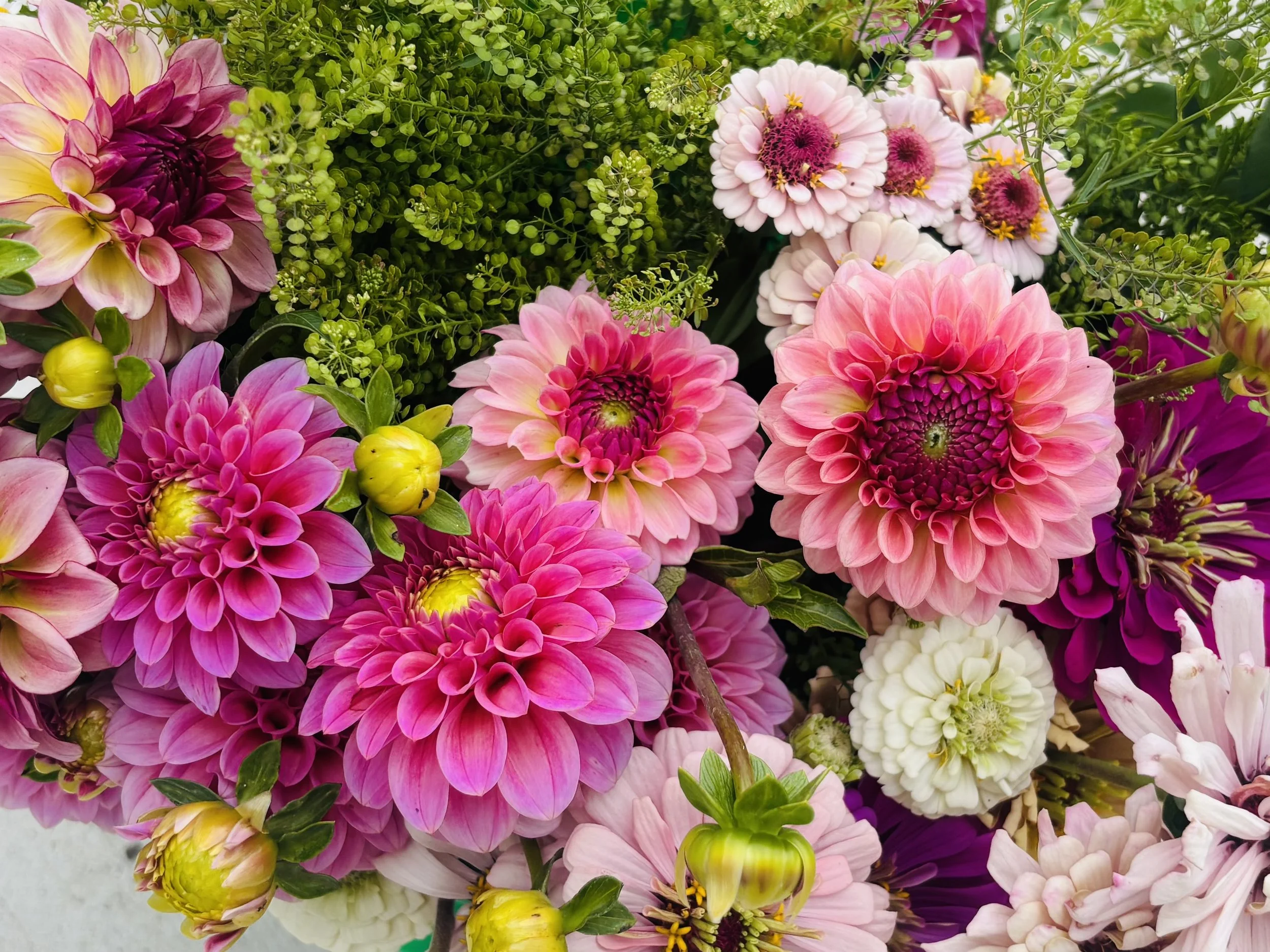 Let’s talk Dirty….flowers that is.
