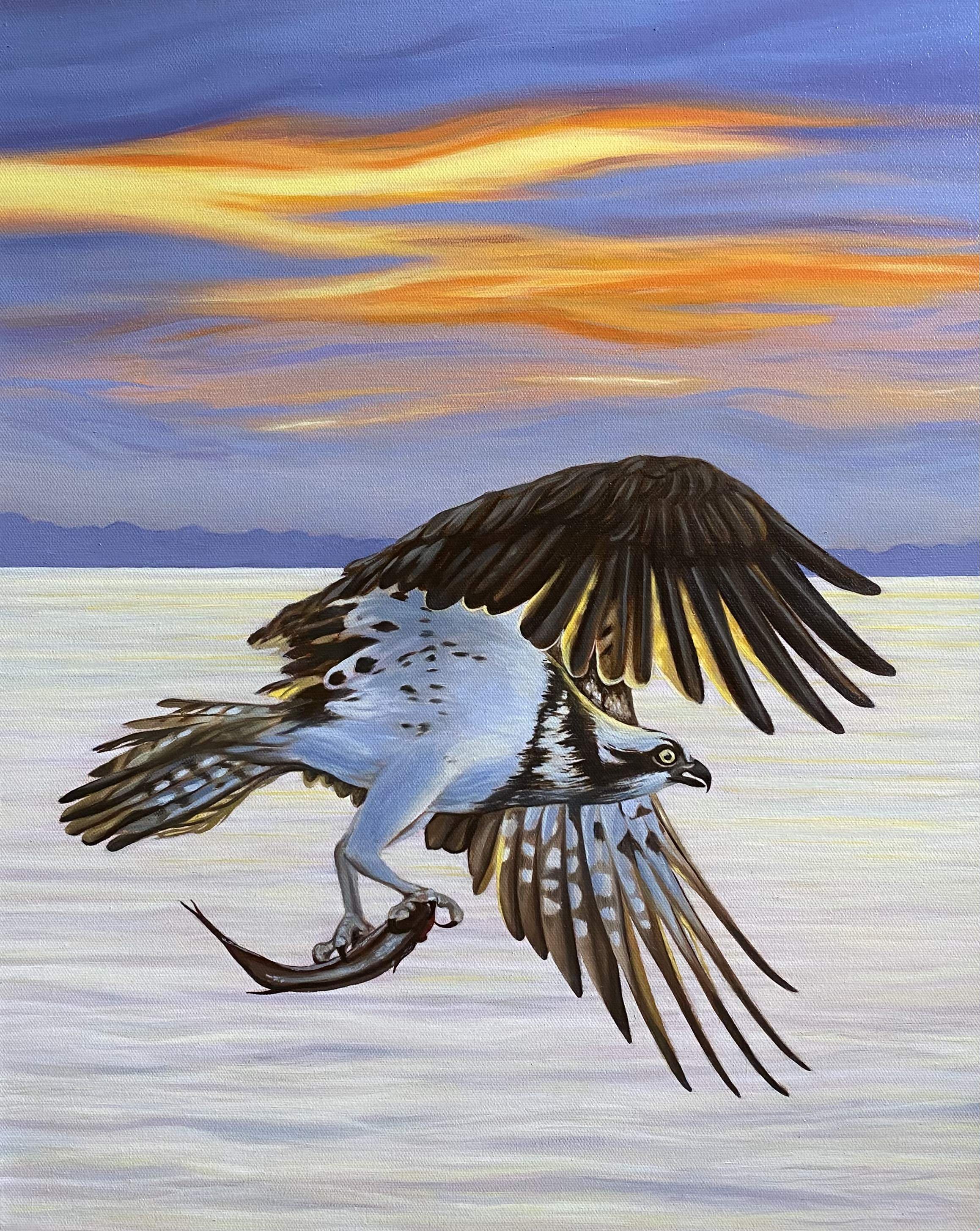 Osprey Study, Oil on Canvas, 16 x 20"