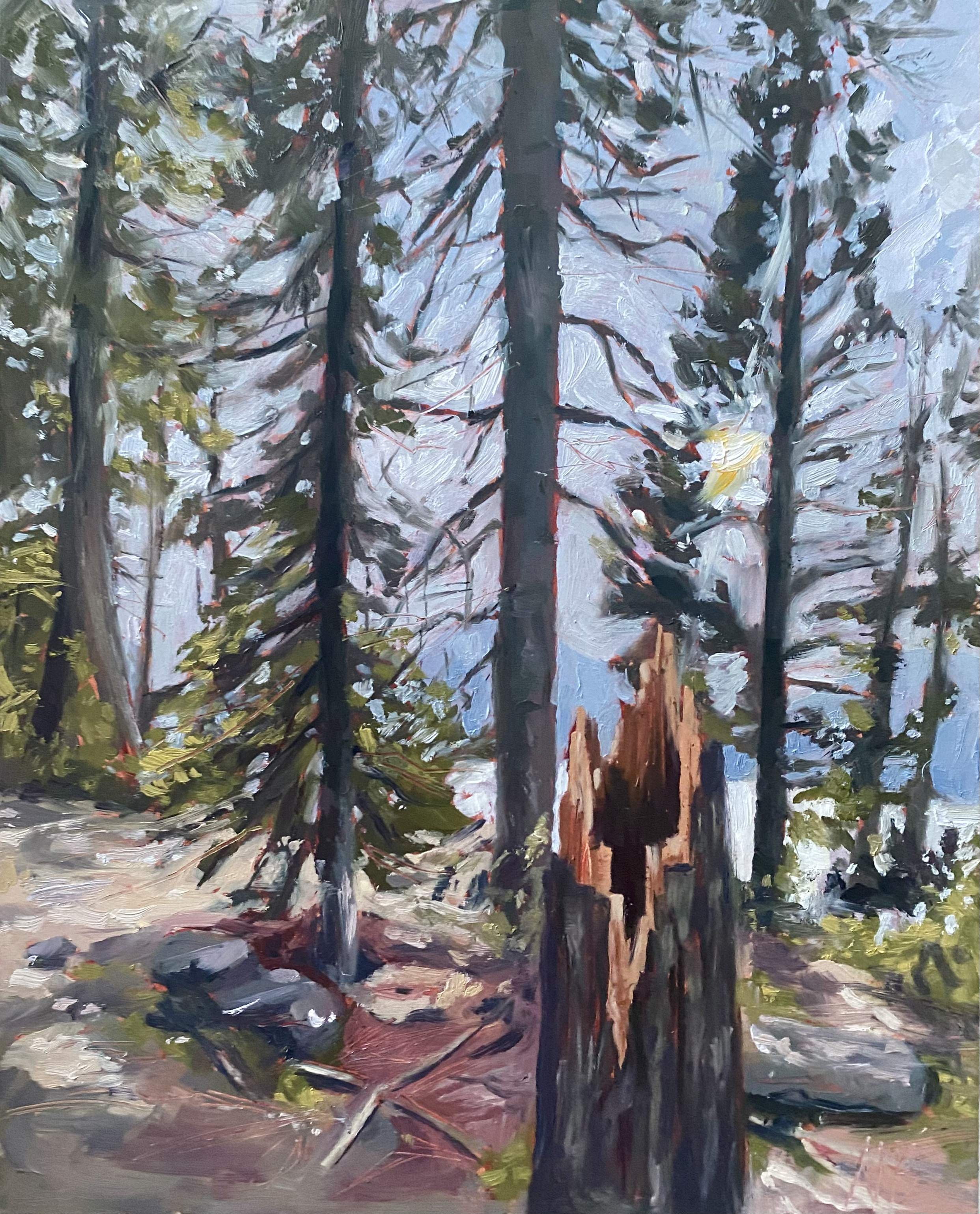 View of the Tetons, Oil on Gesso Board, 8 x 10"
