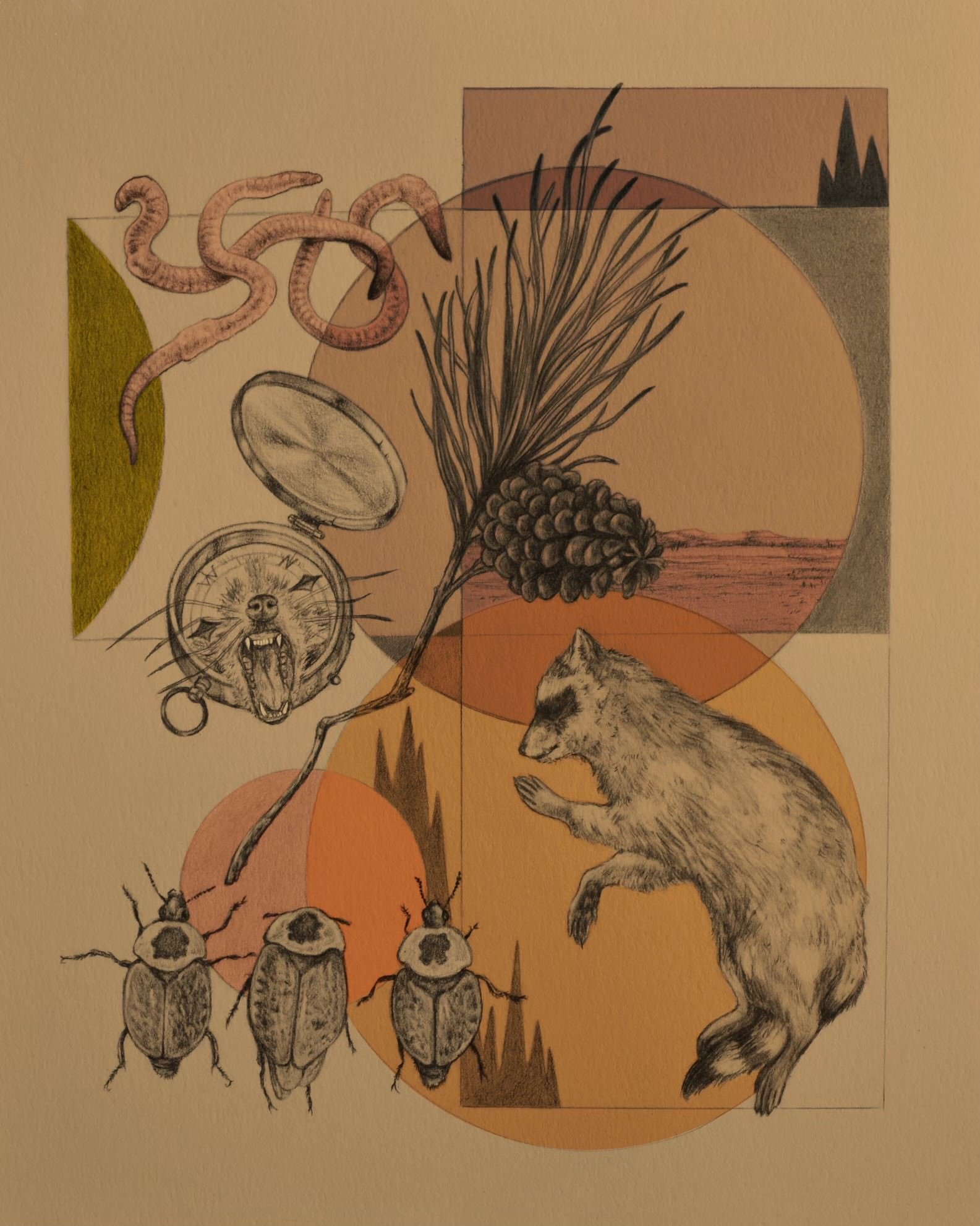 Decompostion (Digitally Colored), Graphite on Paper, 10 x 12 inches