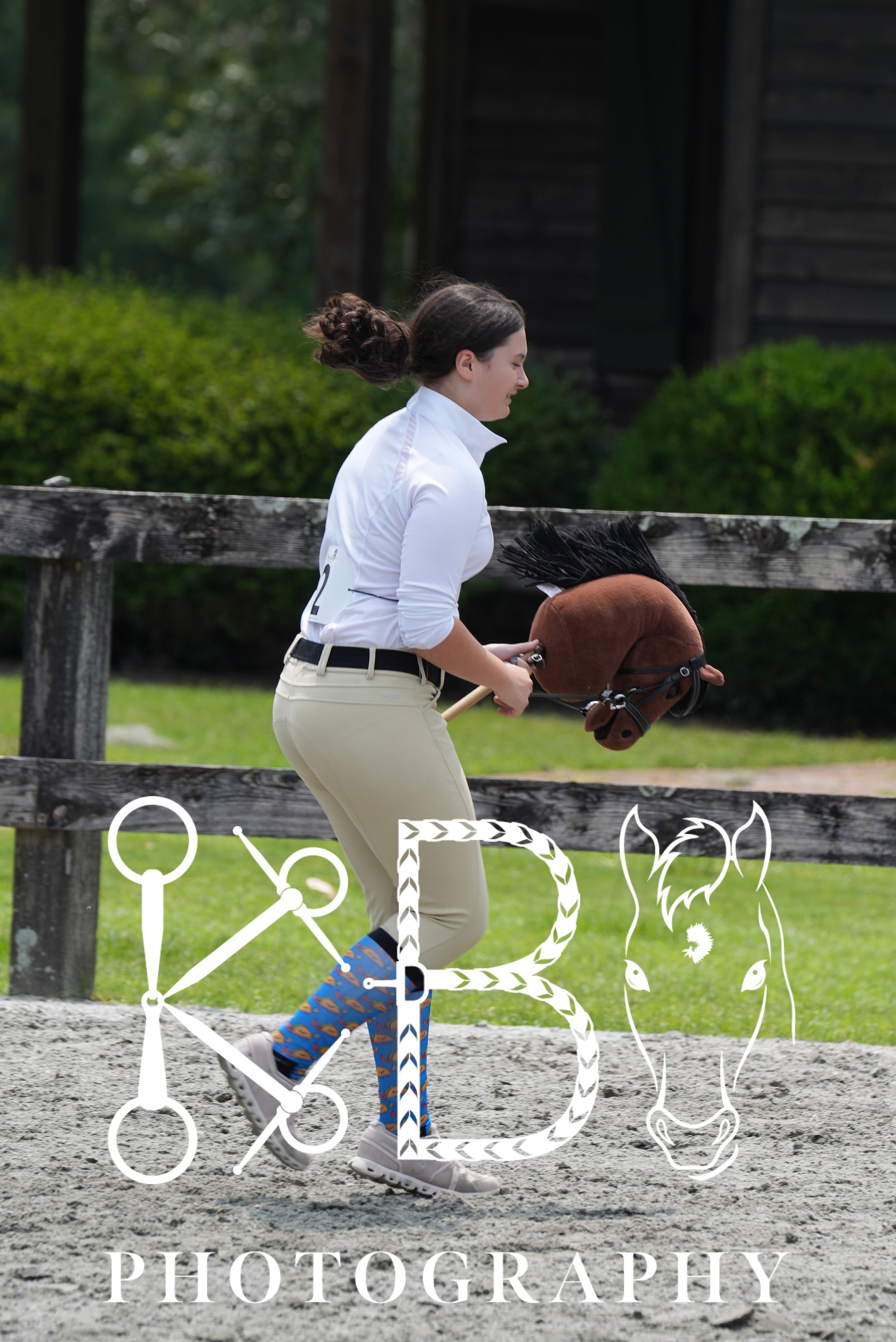 Hobby Horse