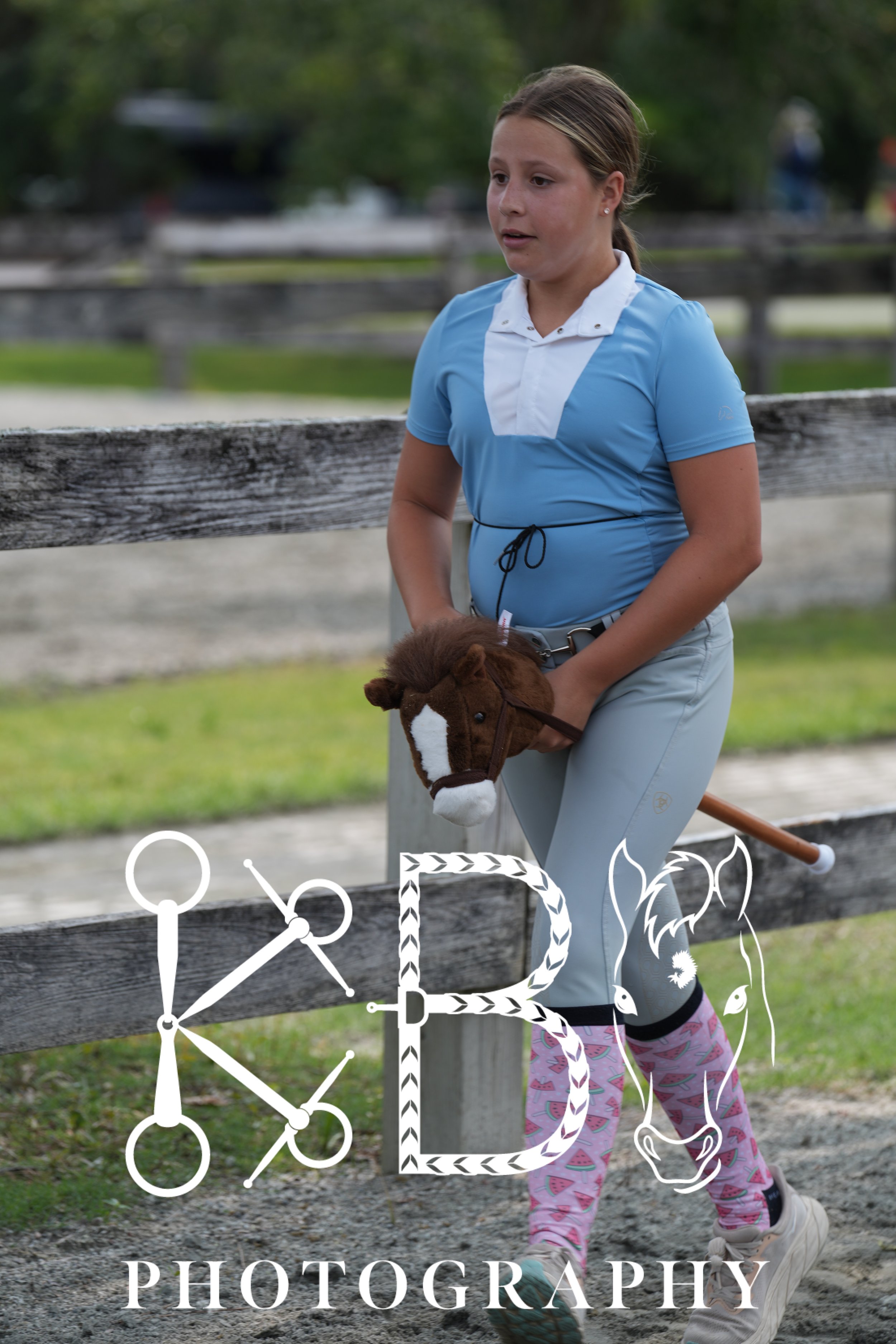 Hobby Horse