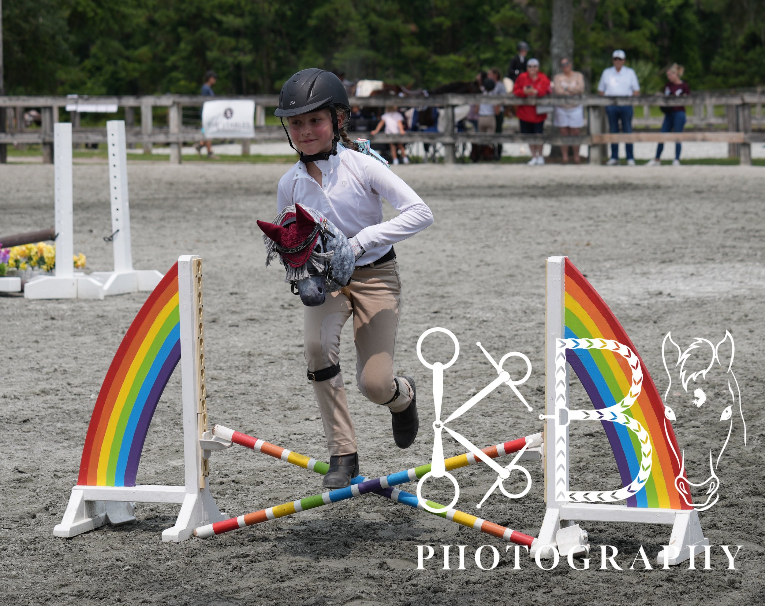 Hobby Horse