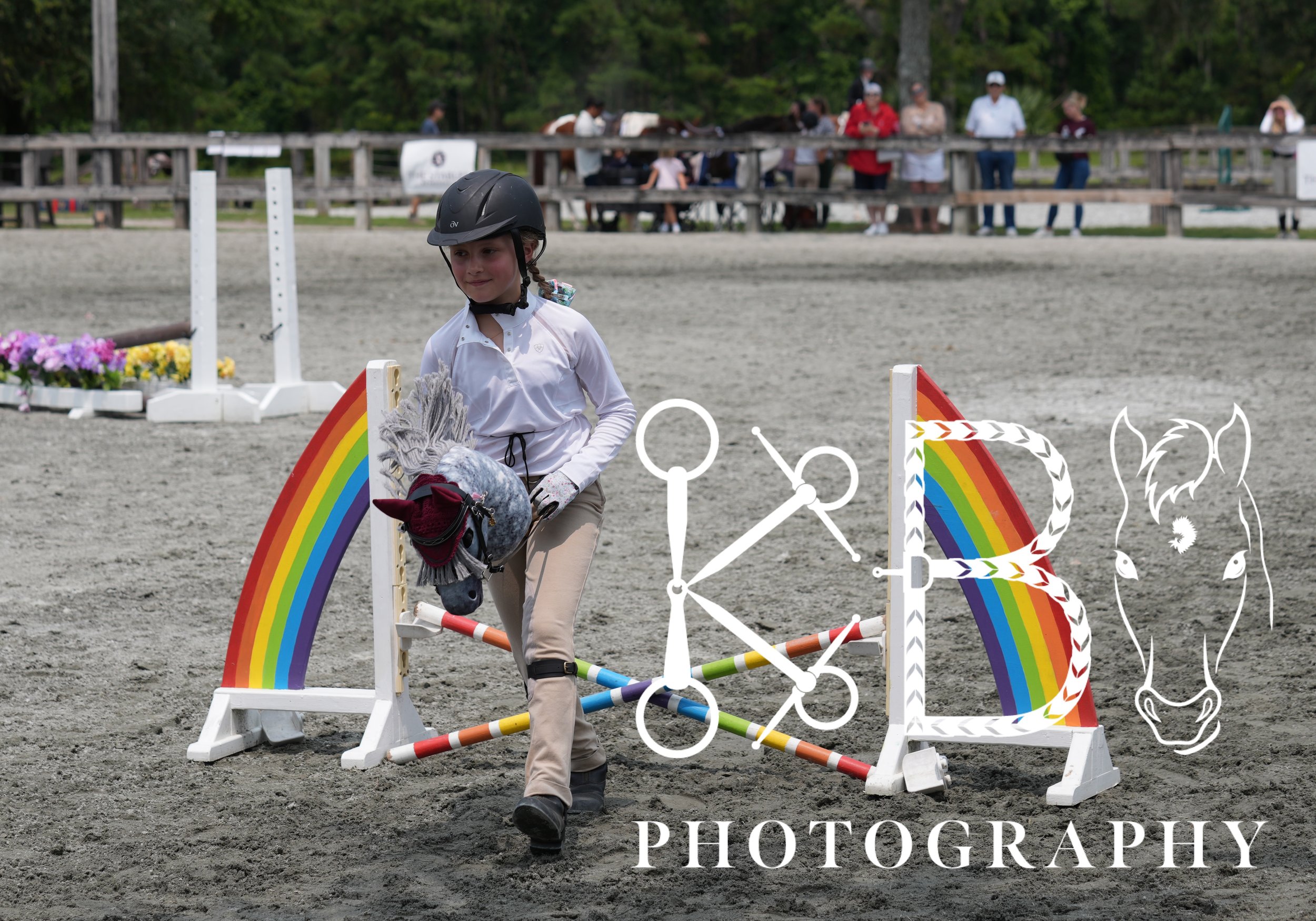 Hobby Horse