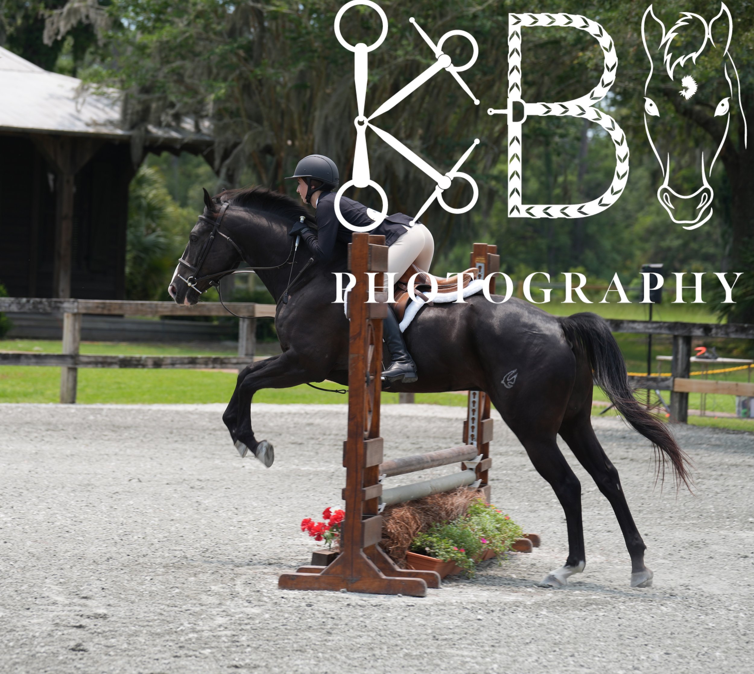 Hunter Ring