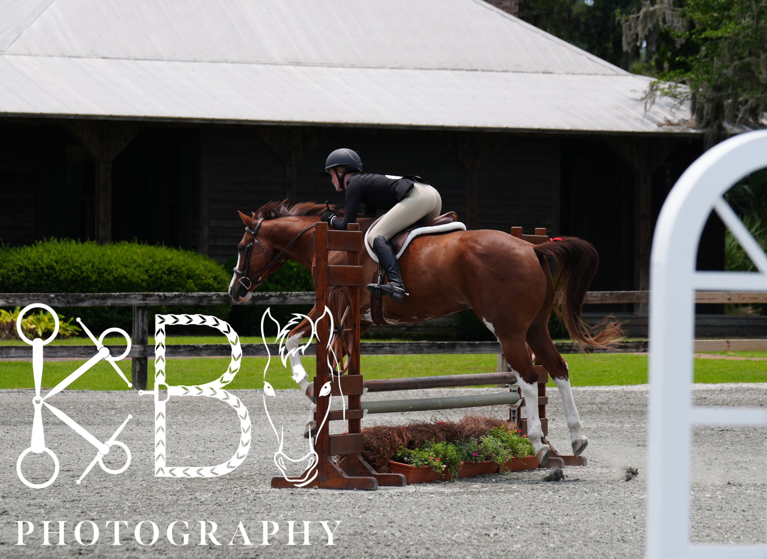 Hunter Ring