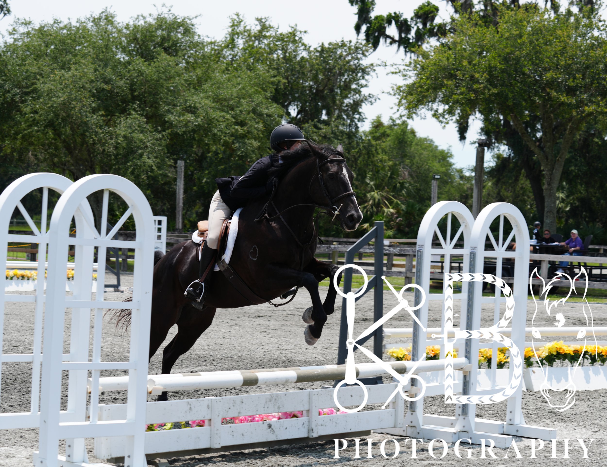 Hunter Ring