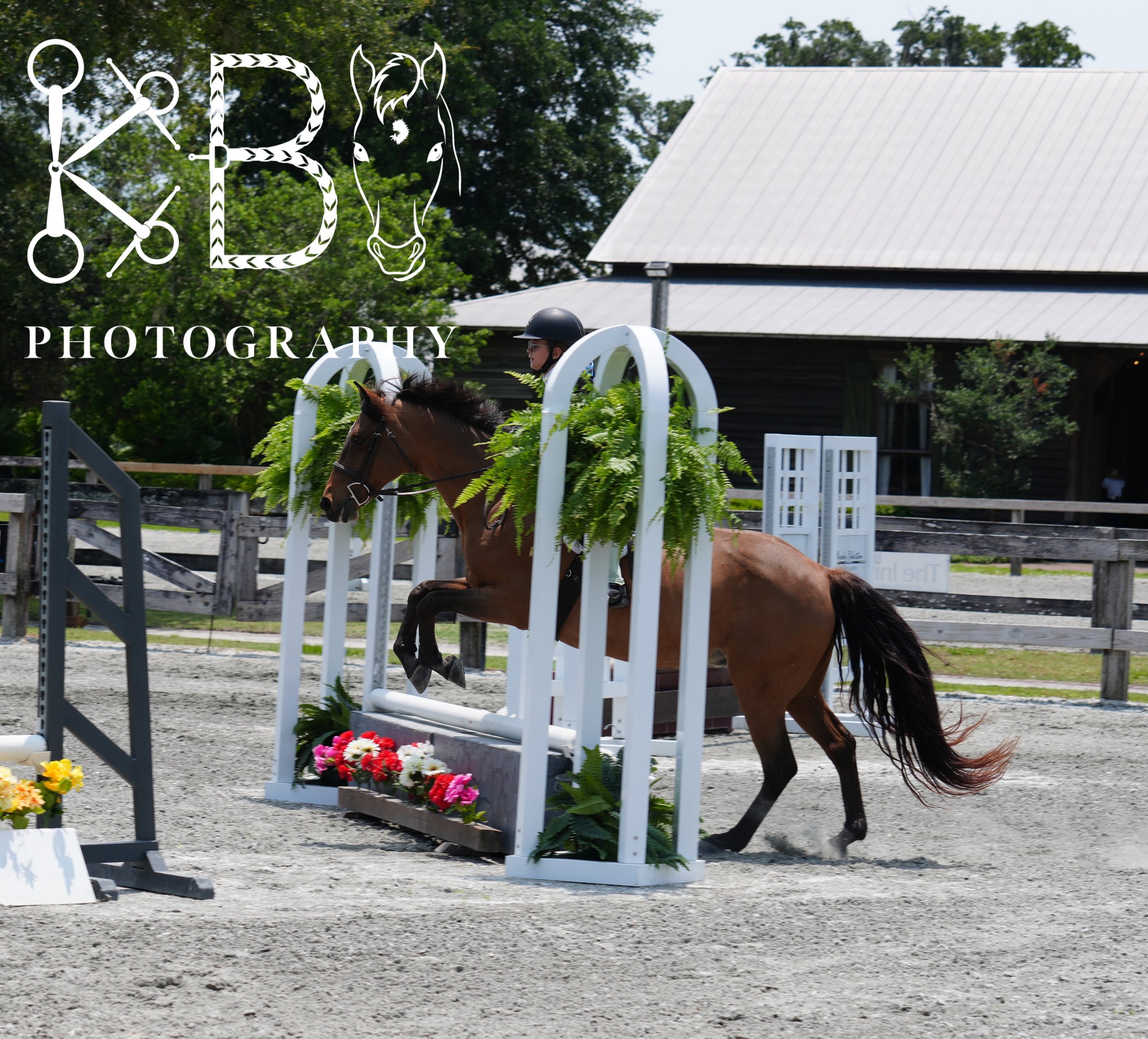 Hunter Ring