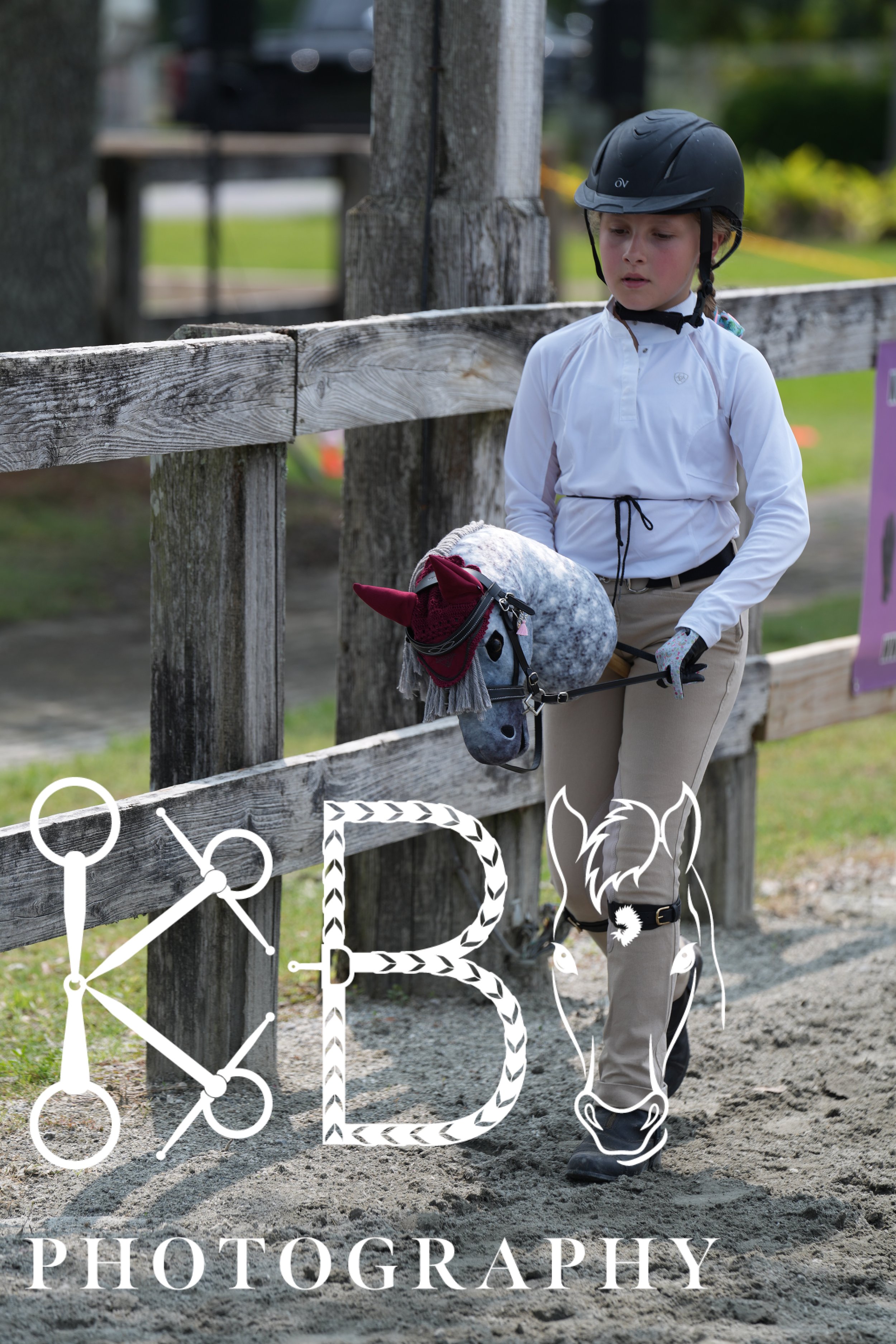 Hobby Horse