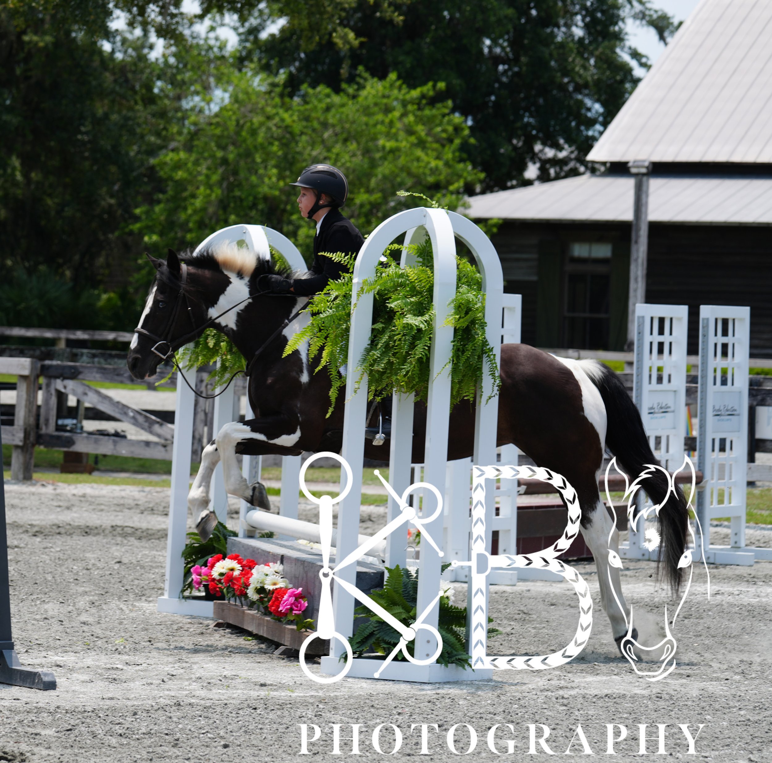 Hunter Ring