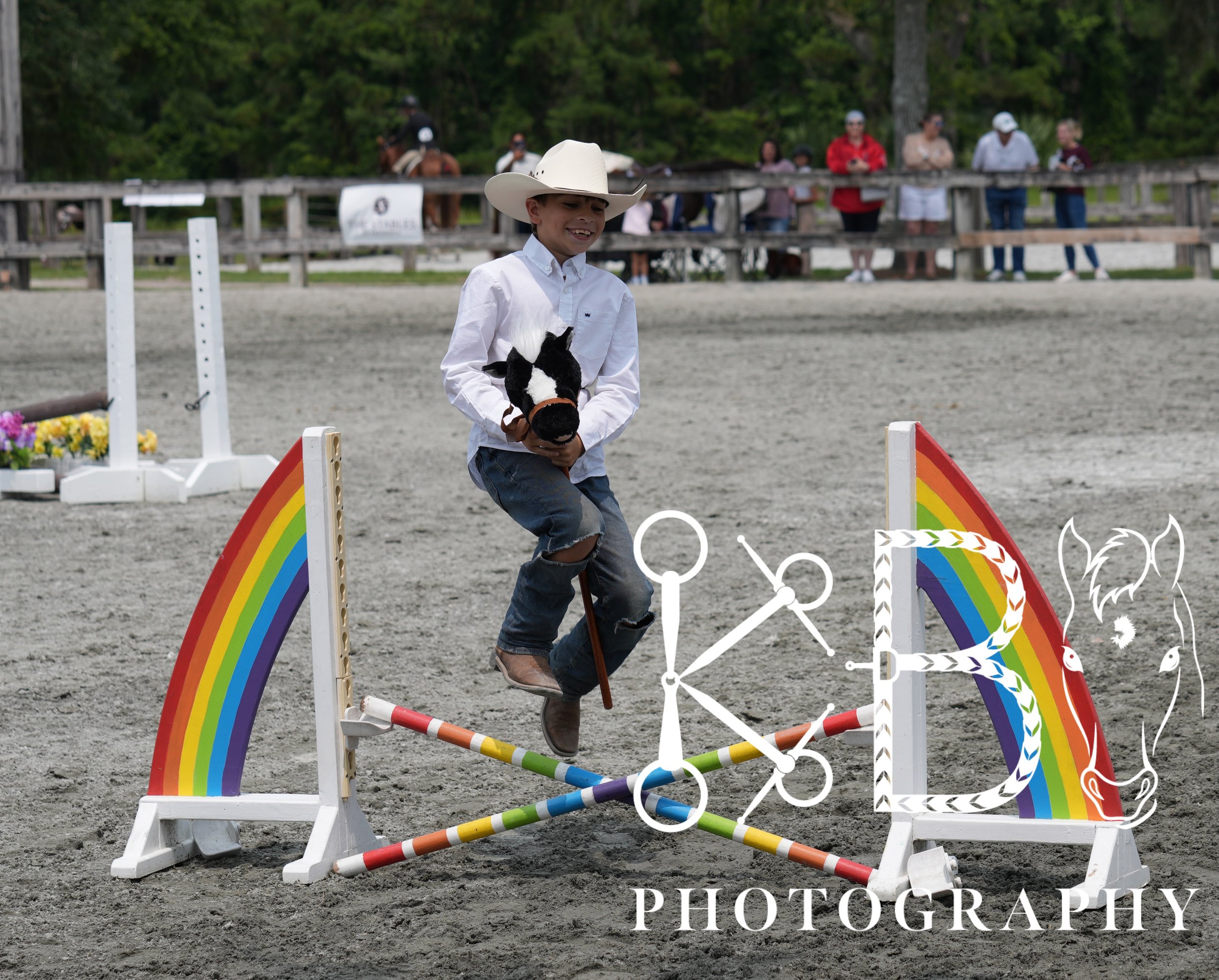 Hobby Horse