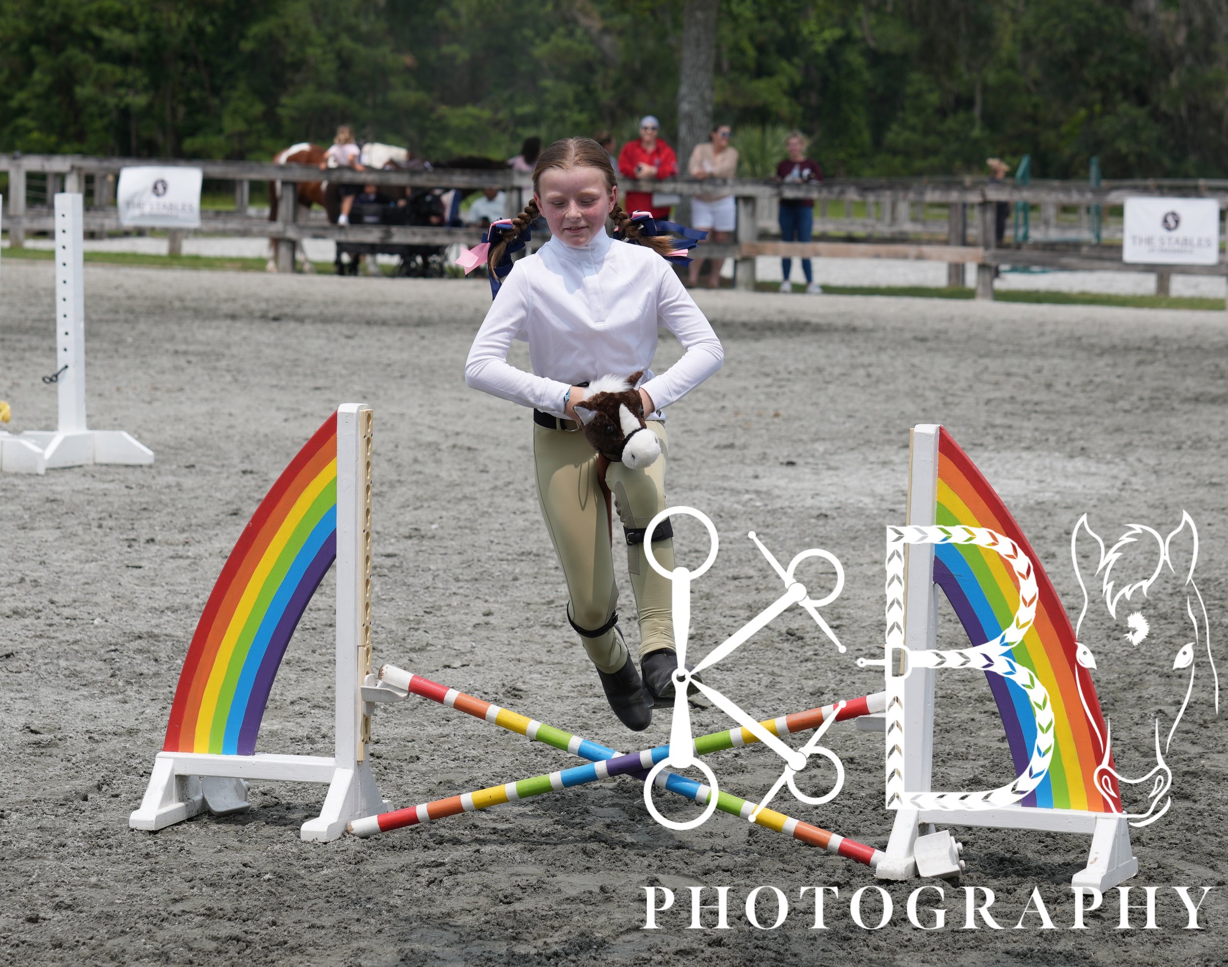 Hobby Horse