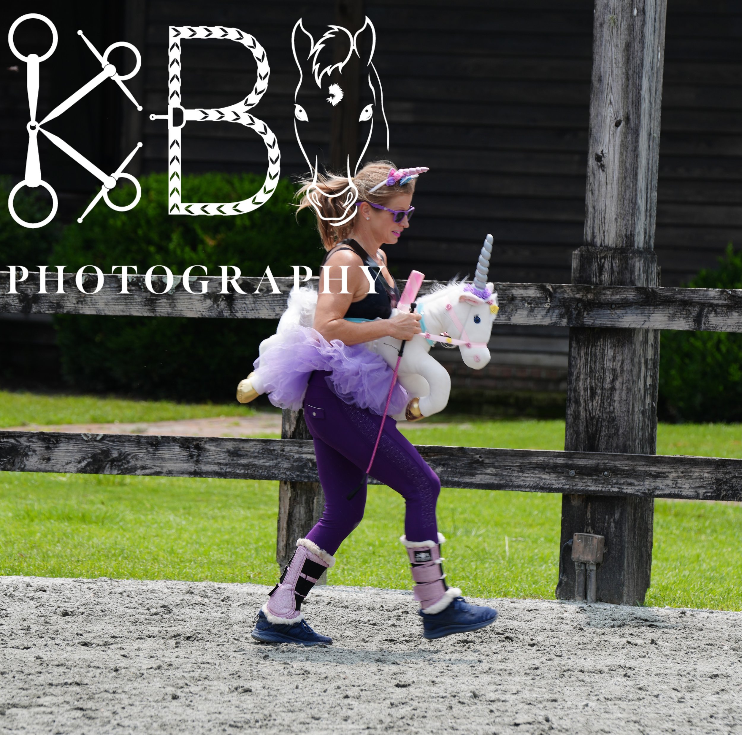 Hobby Horse