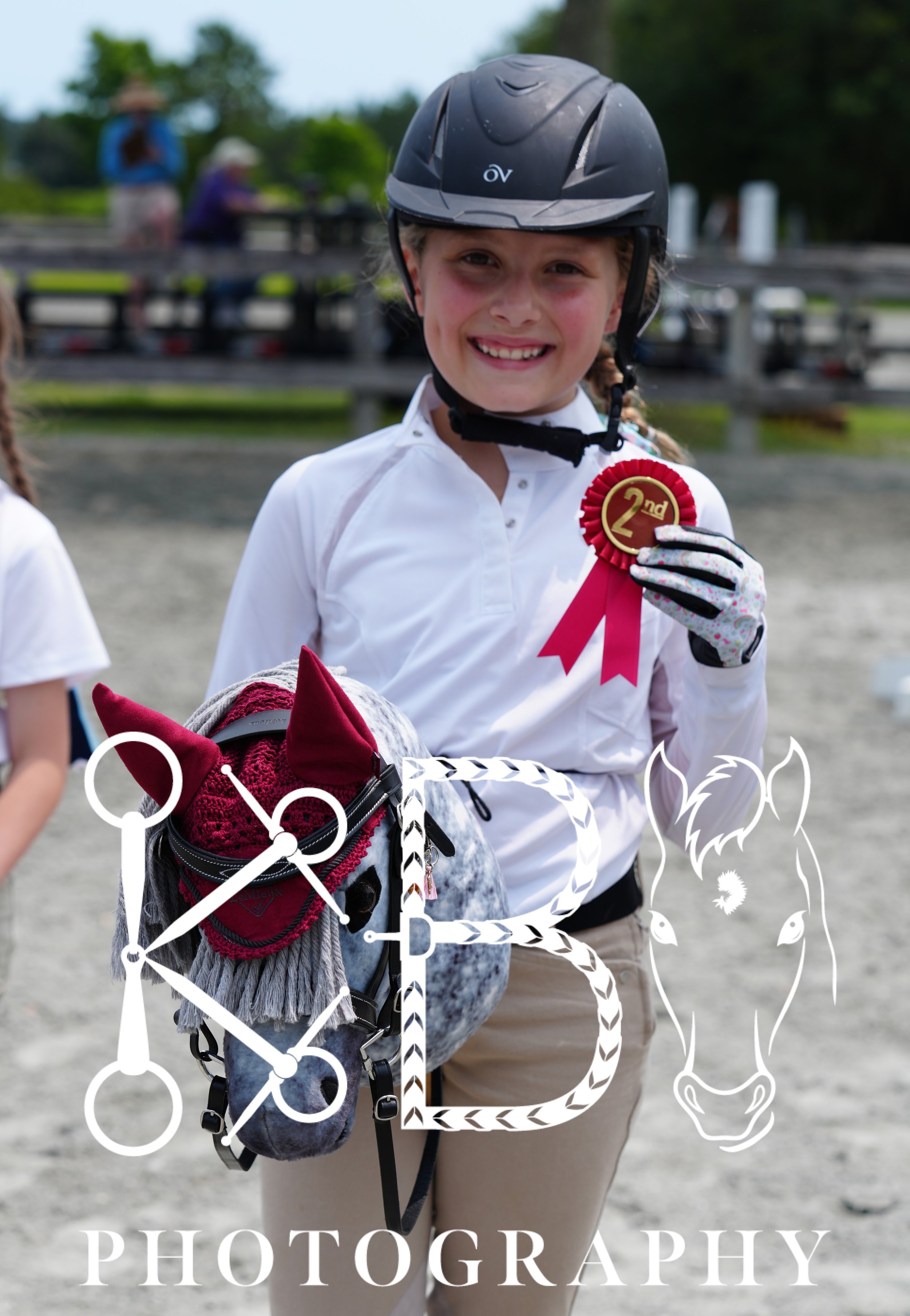 Hobby Horse