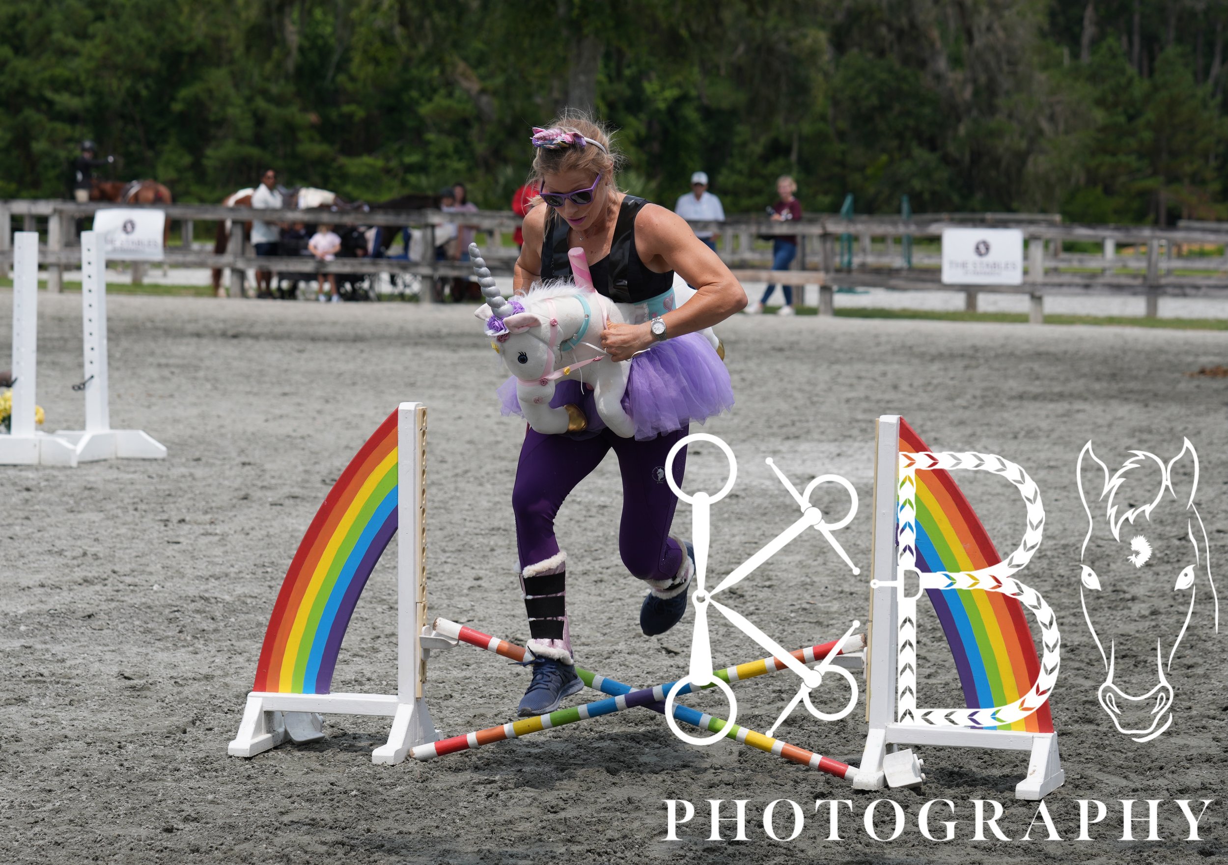 Hobby Horse