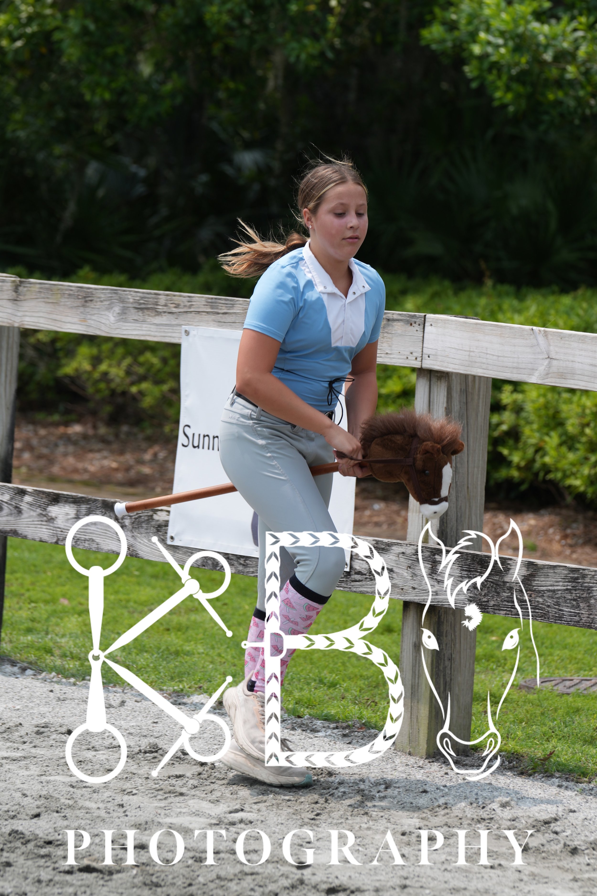 Hobby Horse