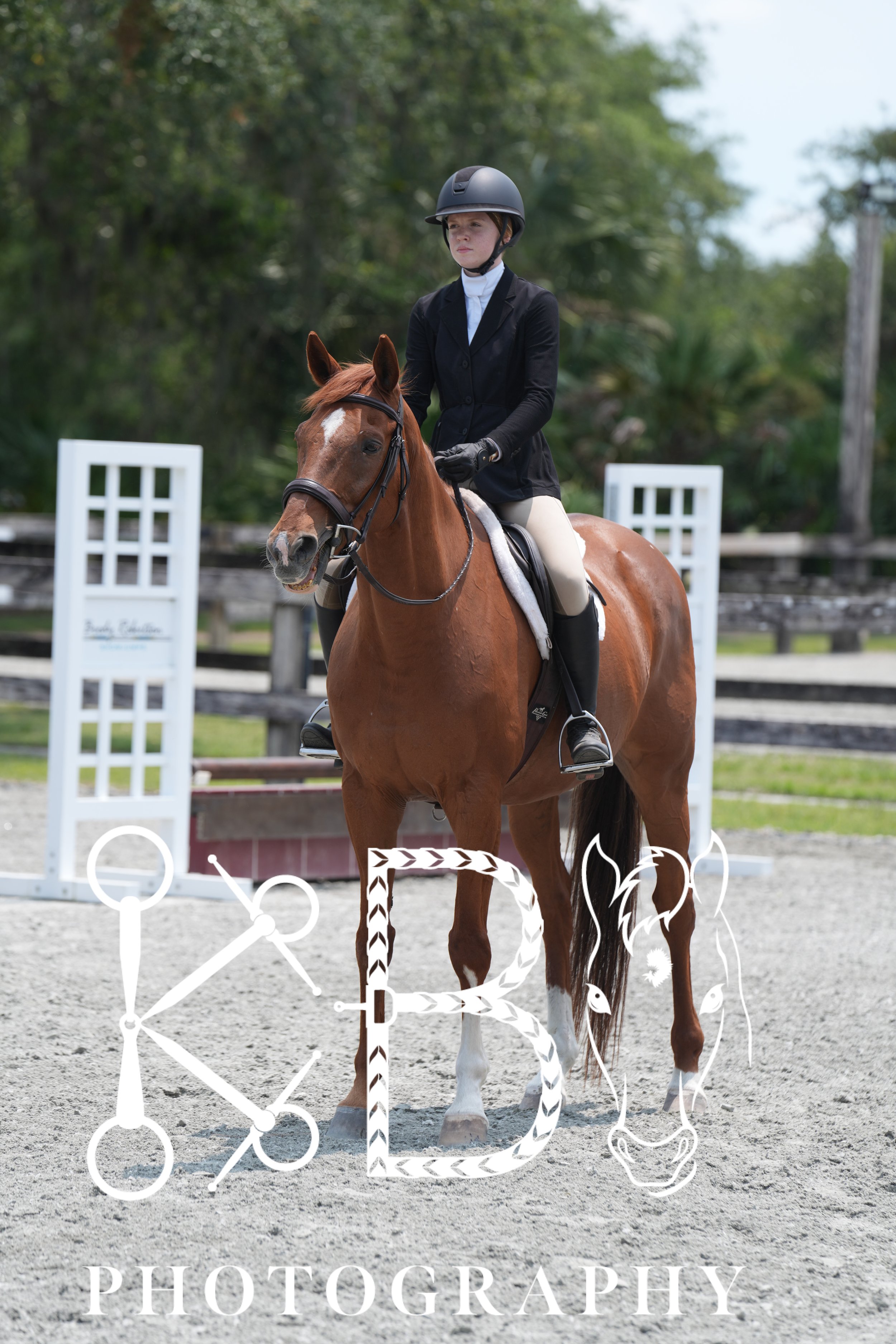 Hunter Ring