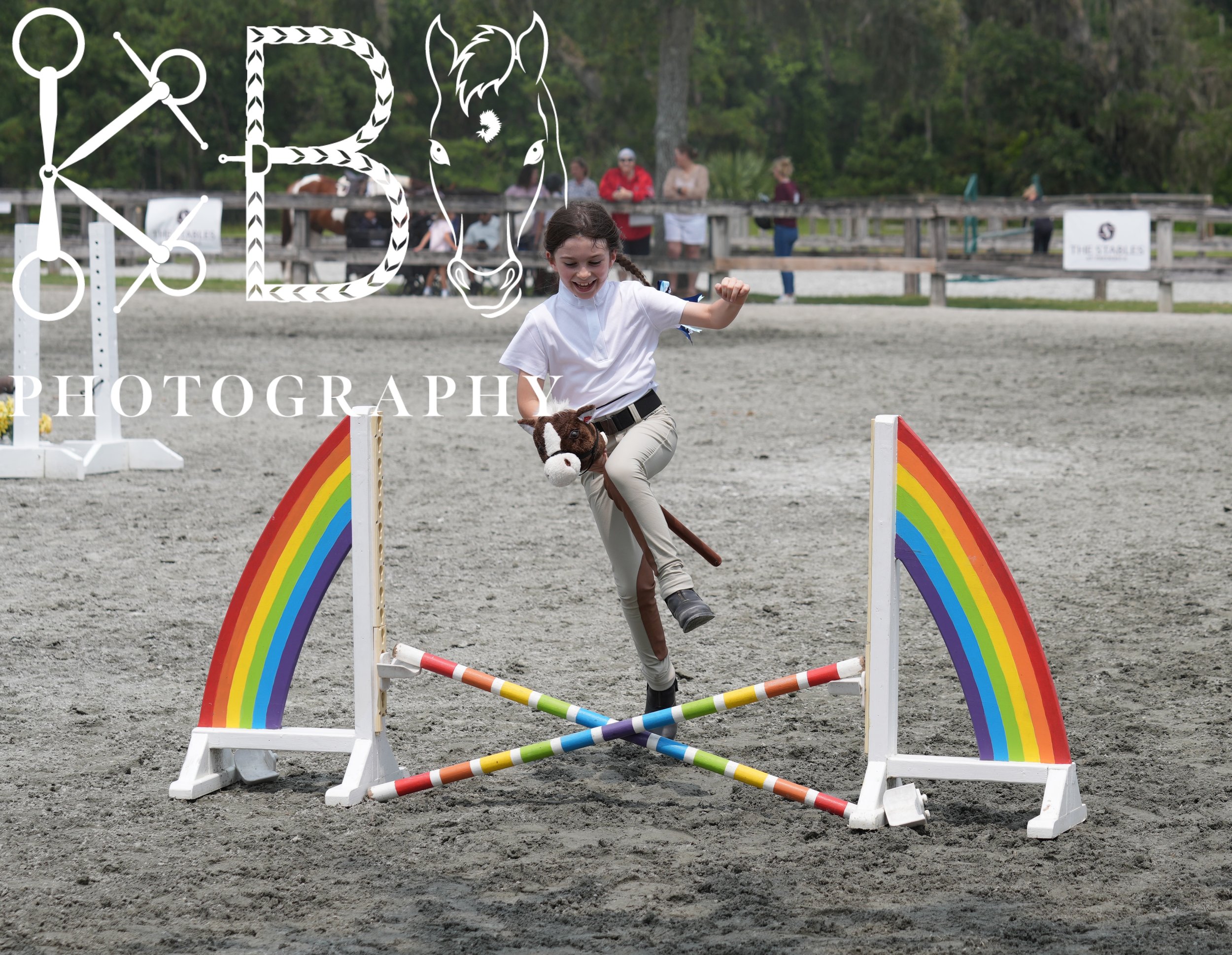 Hobby Horse