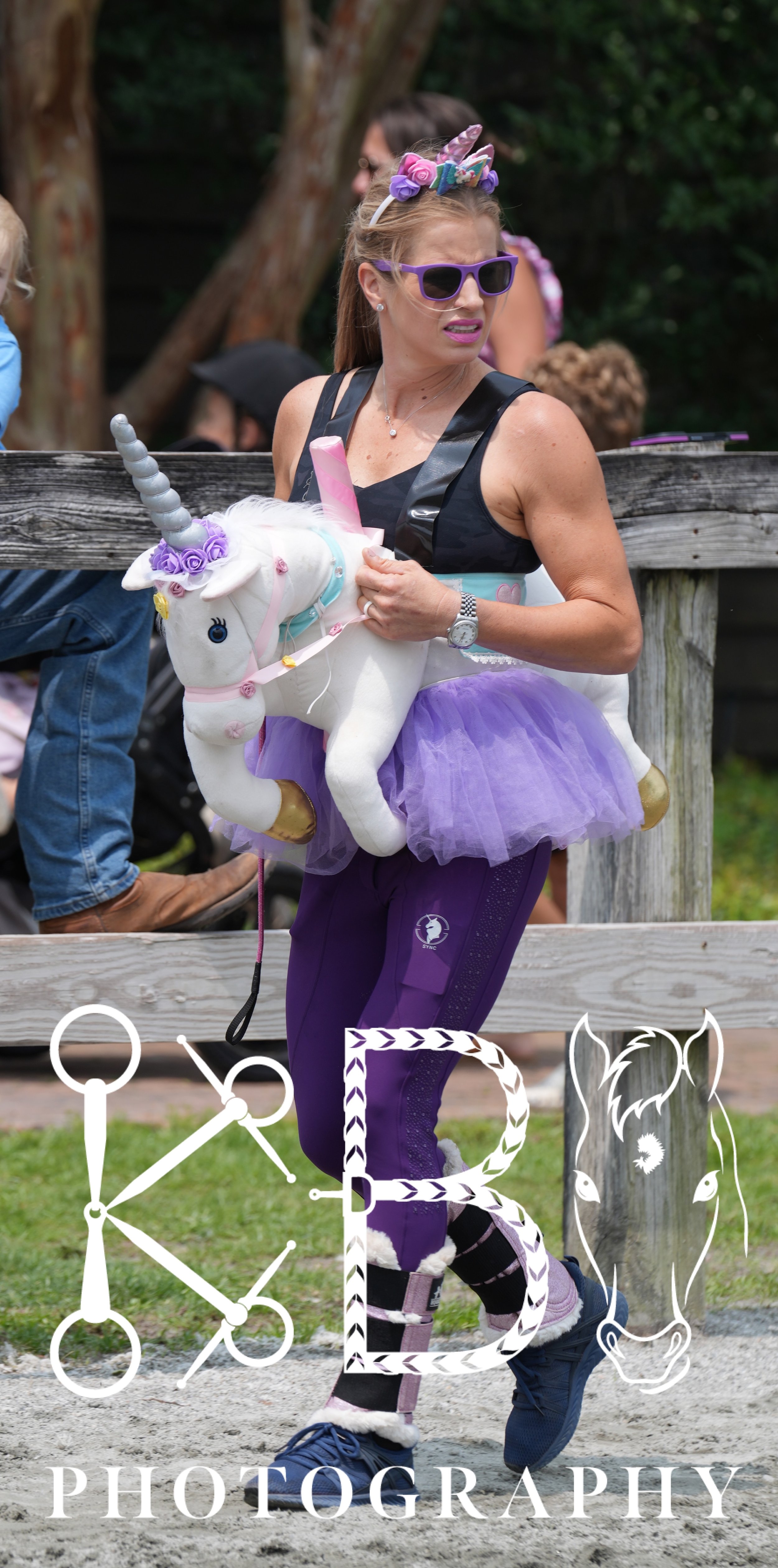 Hobby Horse
