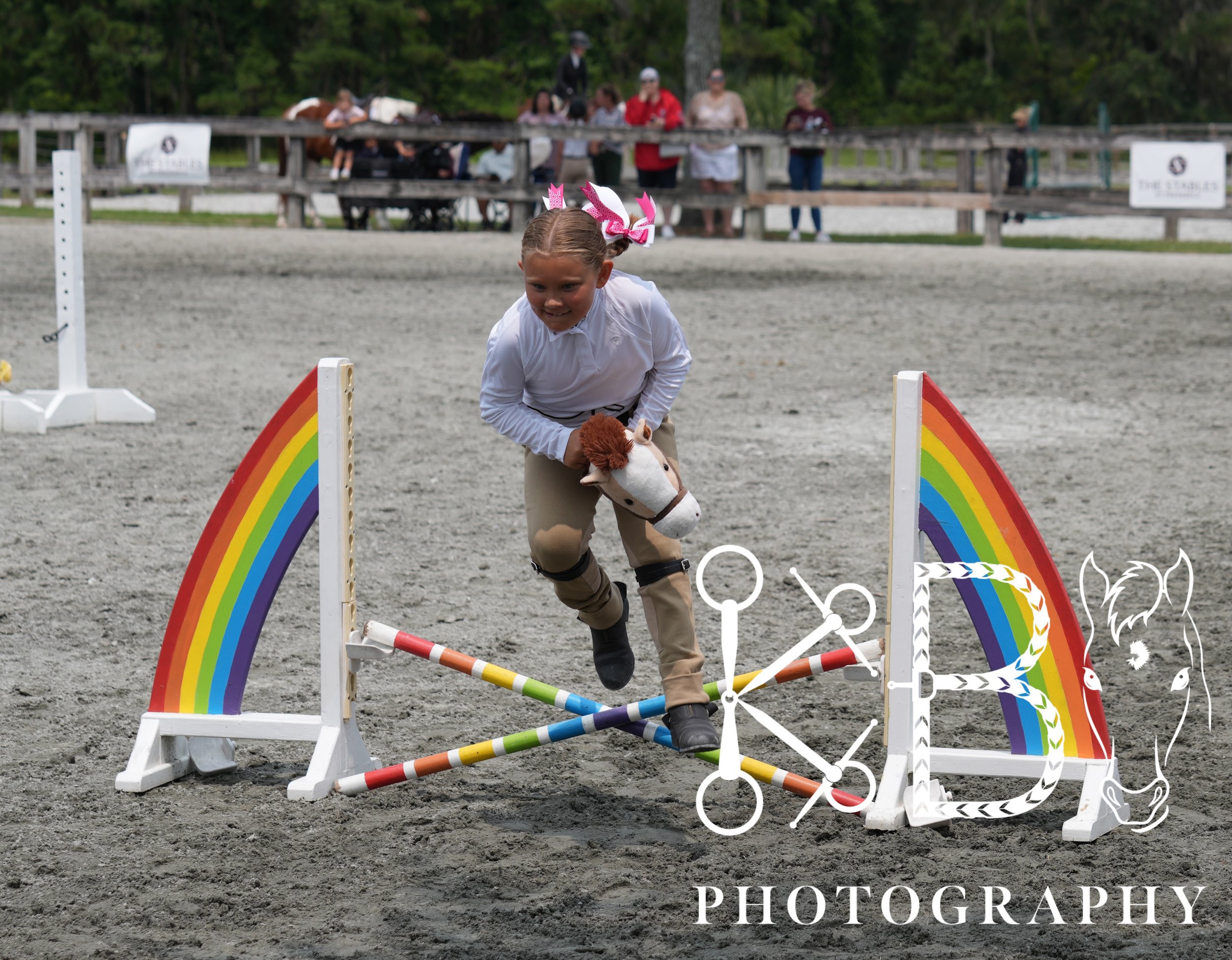 Hobby Horse