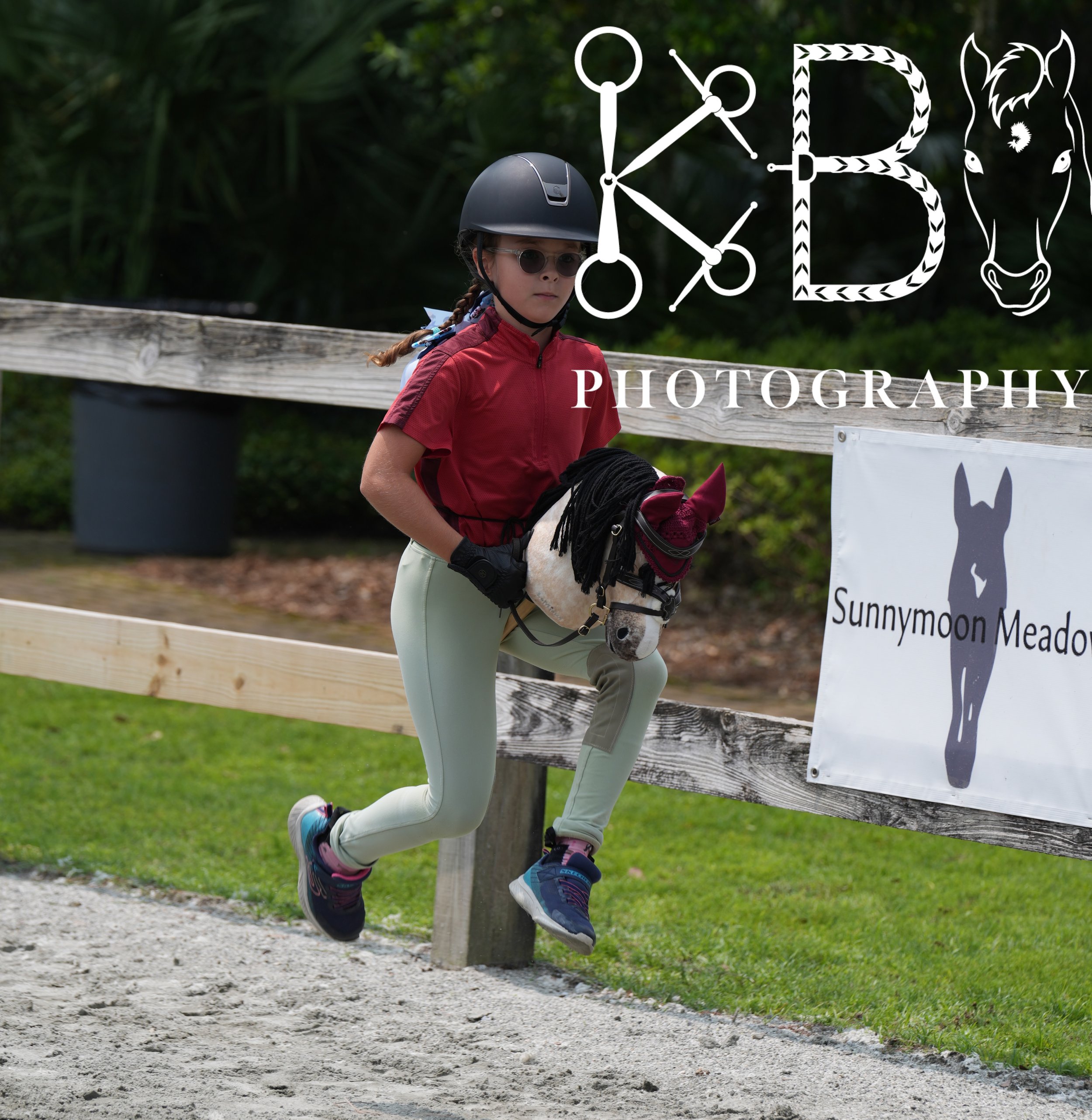 Hobby Horse