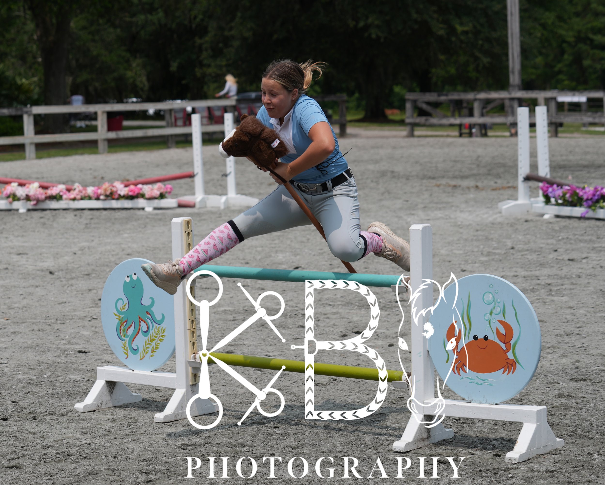 Hobby Horse