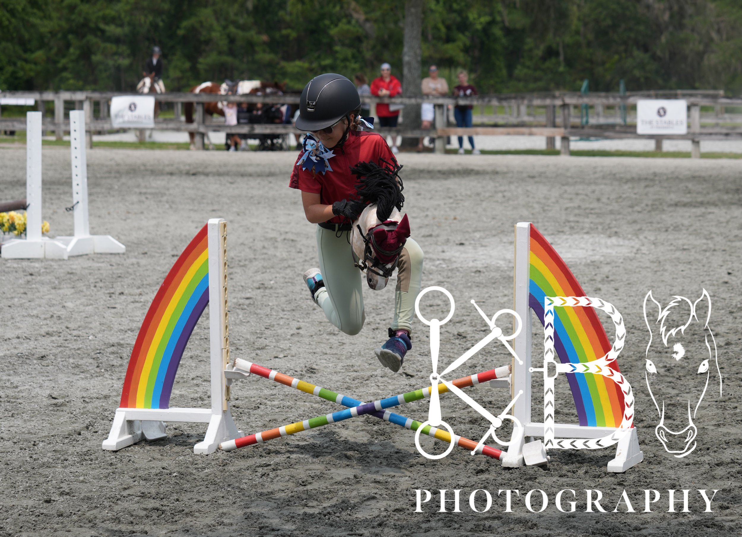Hobby Horse