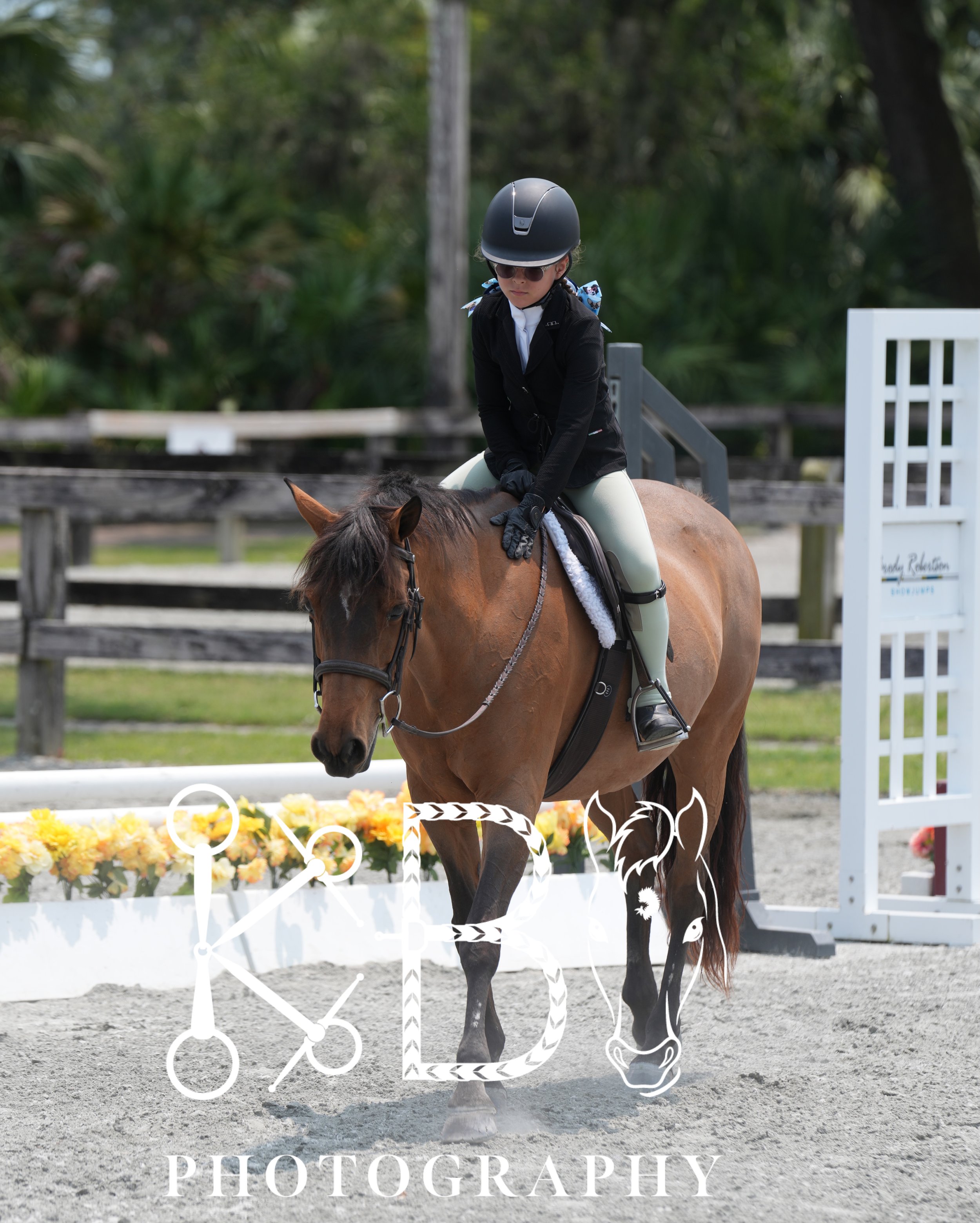 Hunter Ring