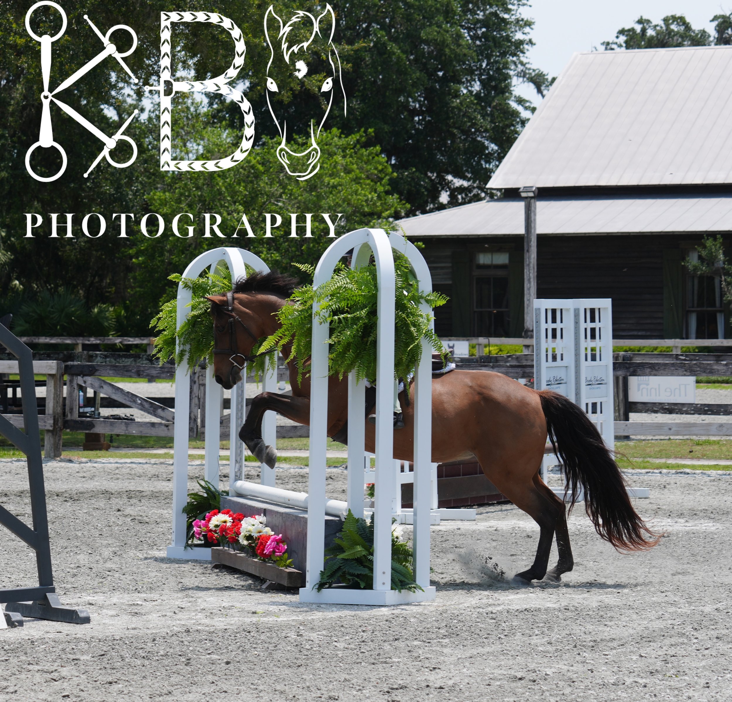 Hunter Ring