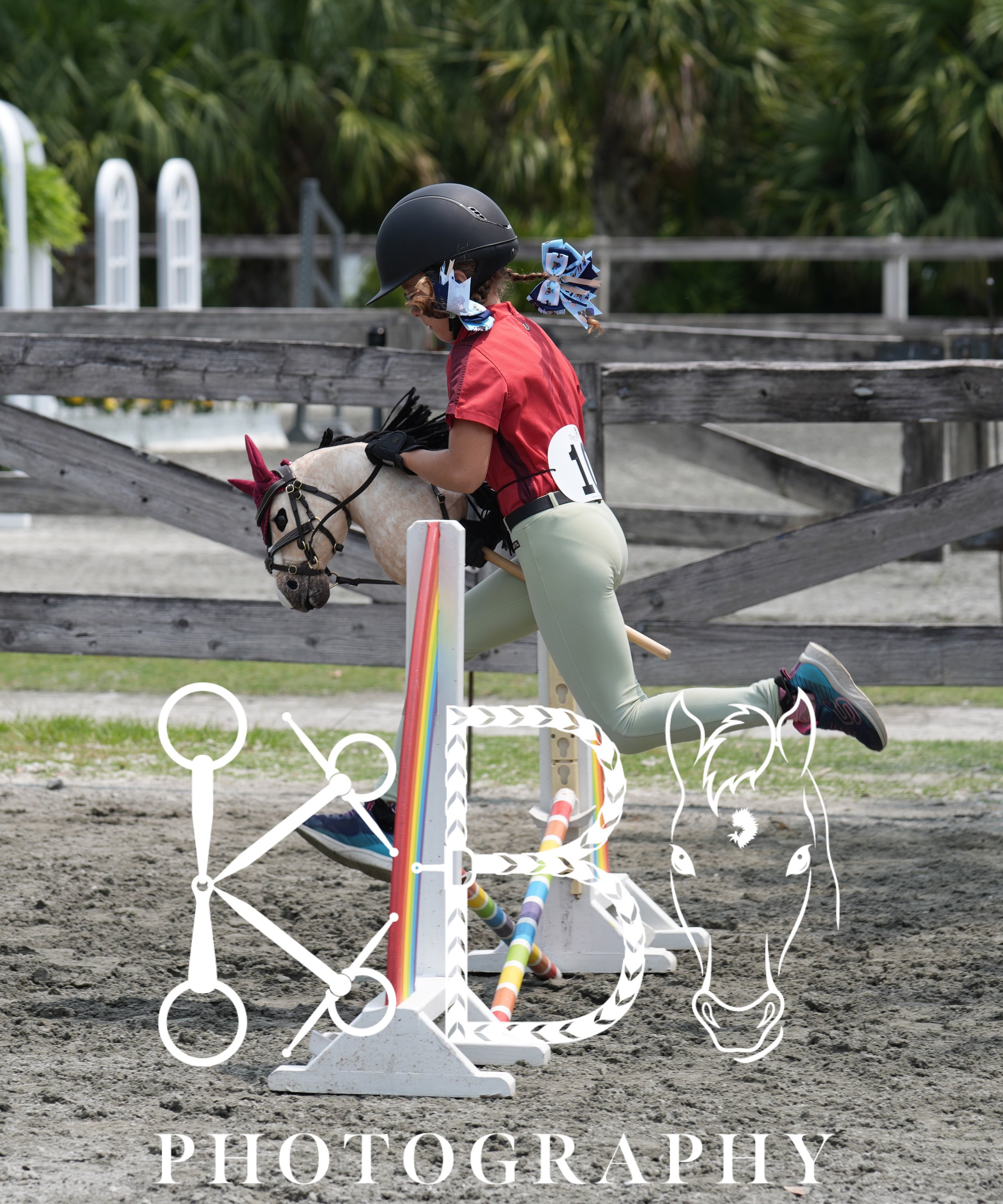 Hobby Horse