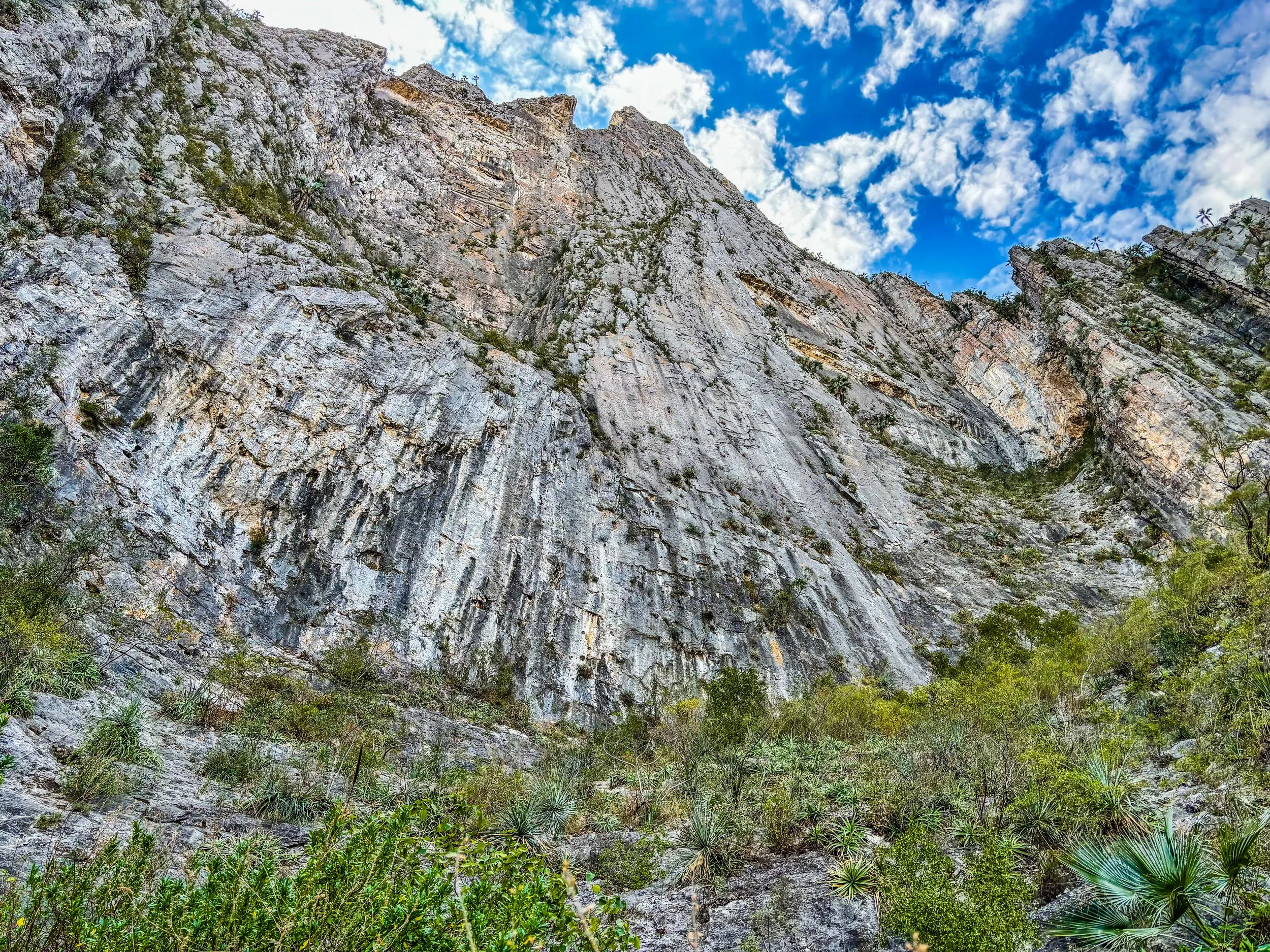 Sendero Luminoso Wall