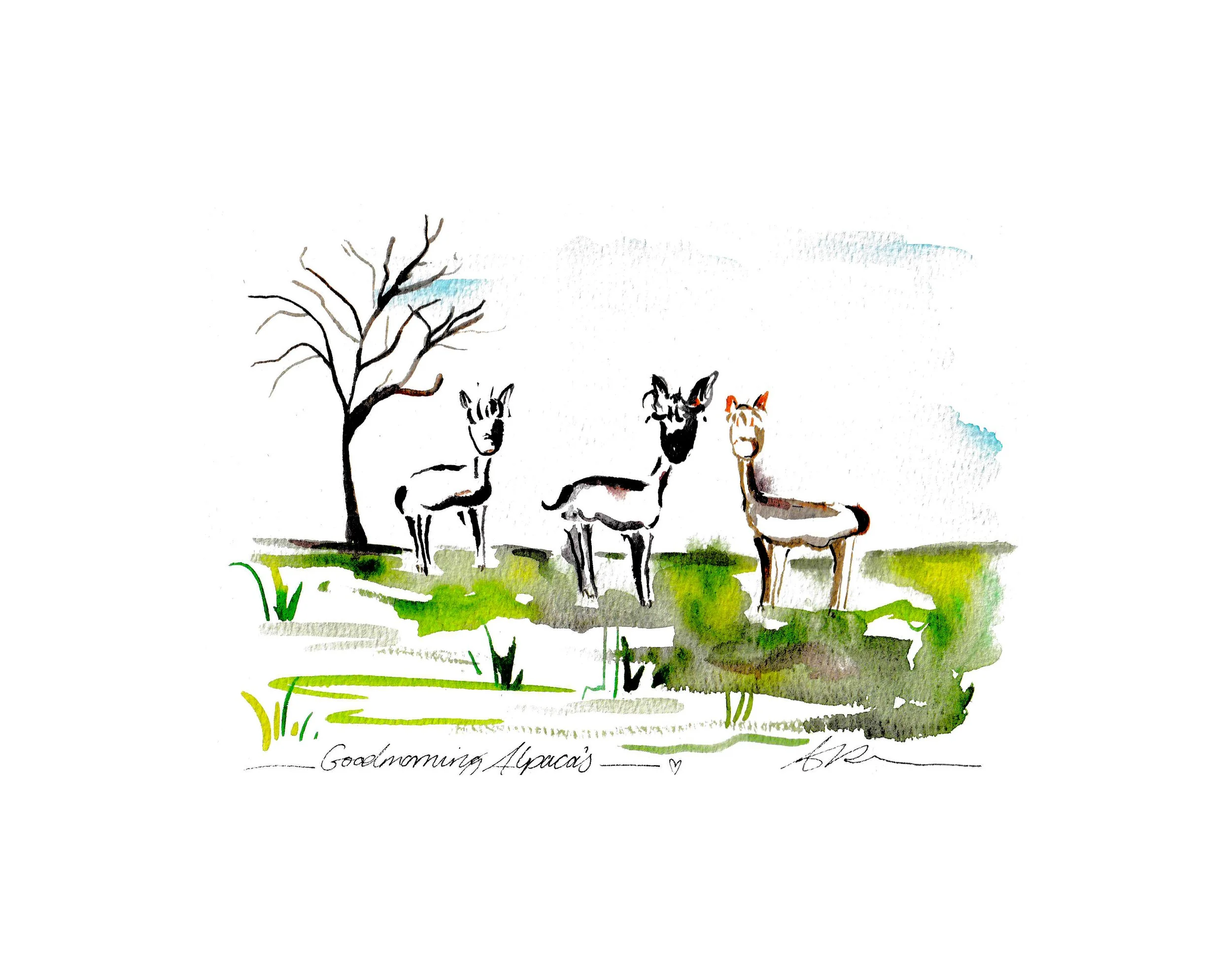 goodmorning alpacas wide border.jpg
