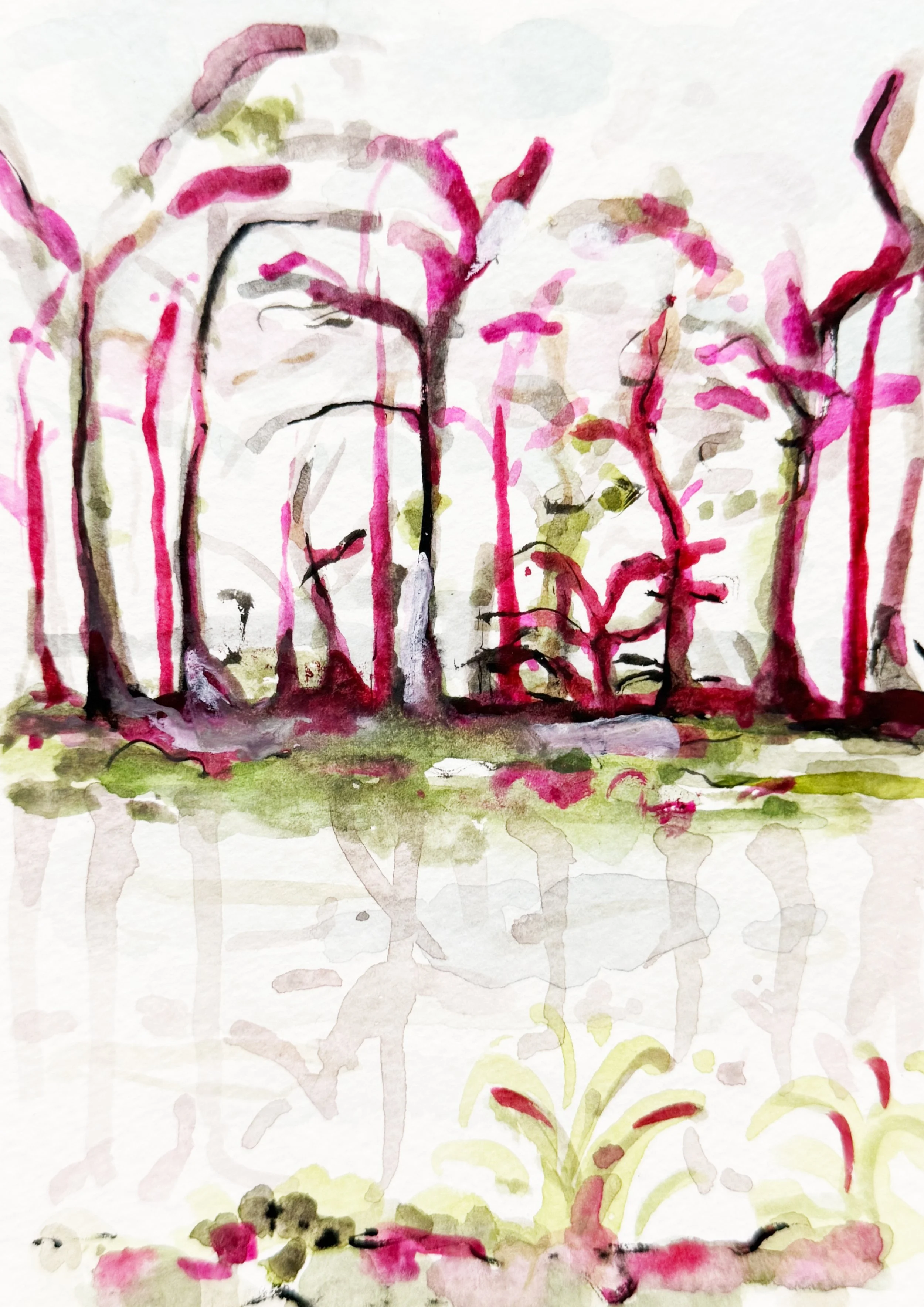 walk.jpg (Copy)