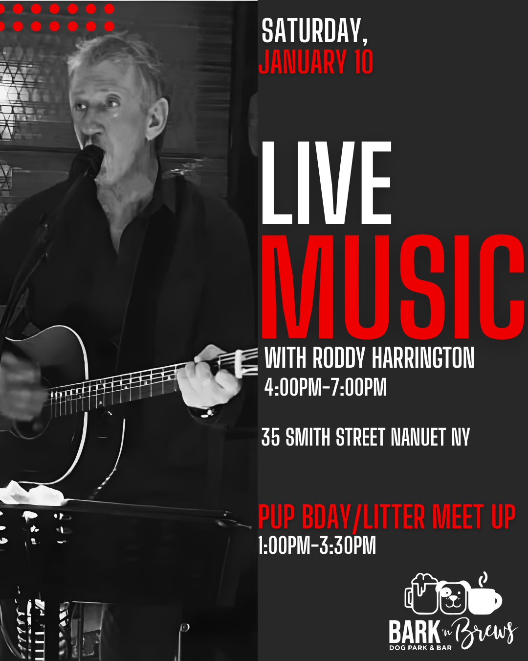 Pup Birthday Party/Litter Meet-up and Live Music w/ Roddy Harrington