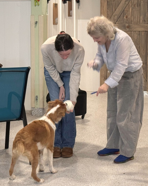 Pet Readings with Shira
